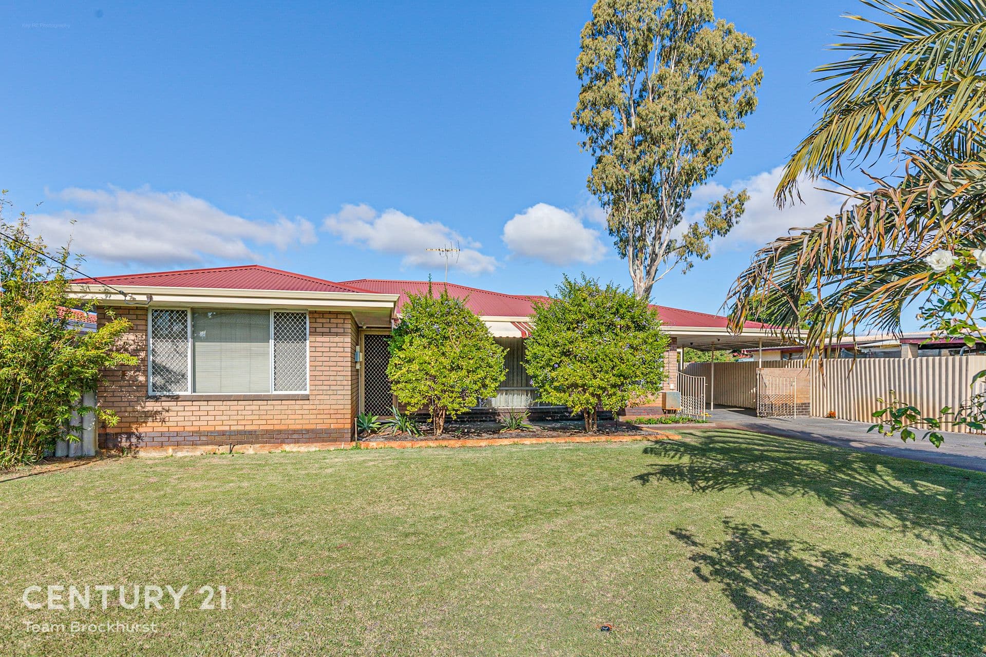 66 Berehaven Avenue, Thornlie, WA, 6108, Thornlie - Thumbnail 7