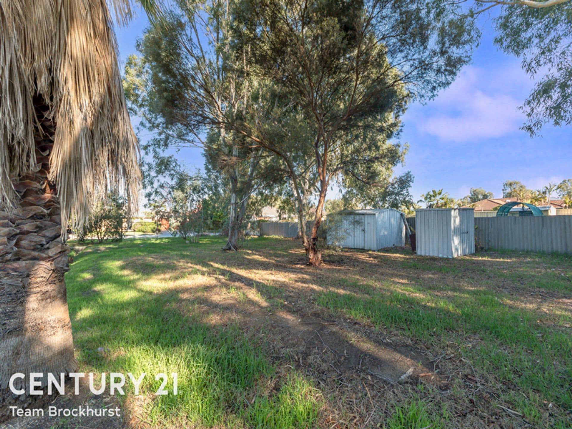 117 Park Road, Kenwick, WA, 6107, Kenwick - Thumbnail 6
