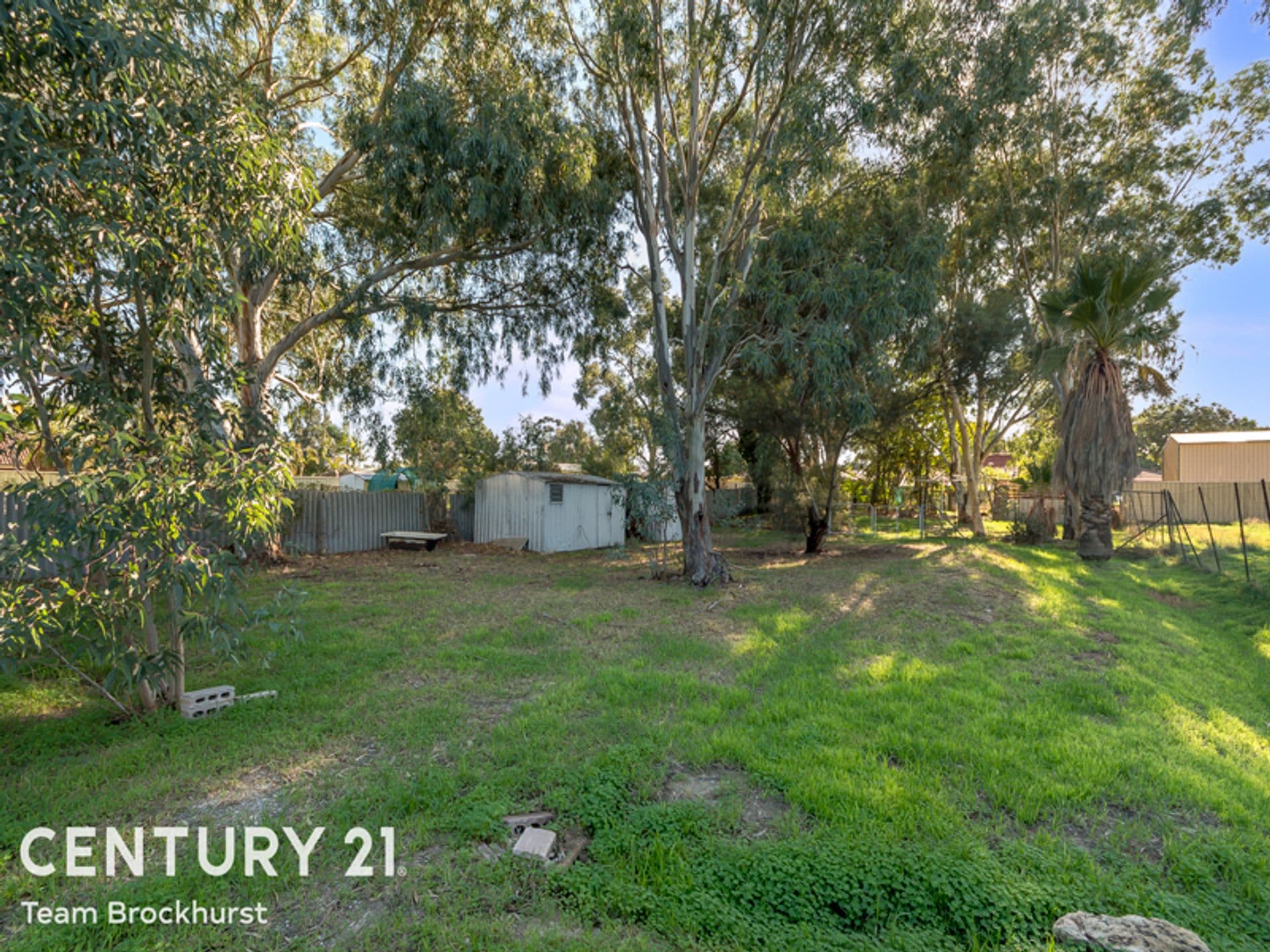 117 Park Road, Kenwick, WA, 6107, Kenwick - Thumbnail 7