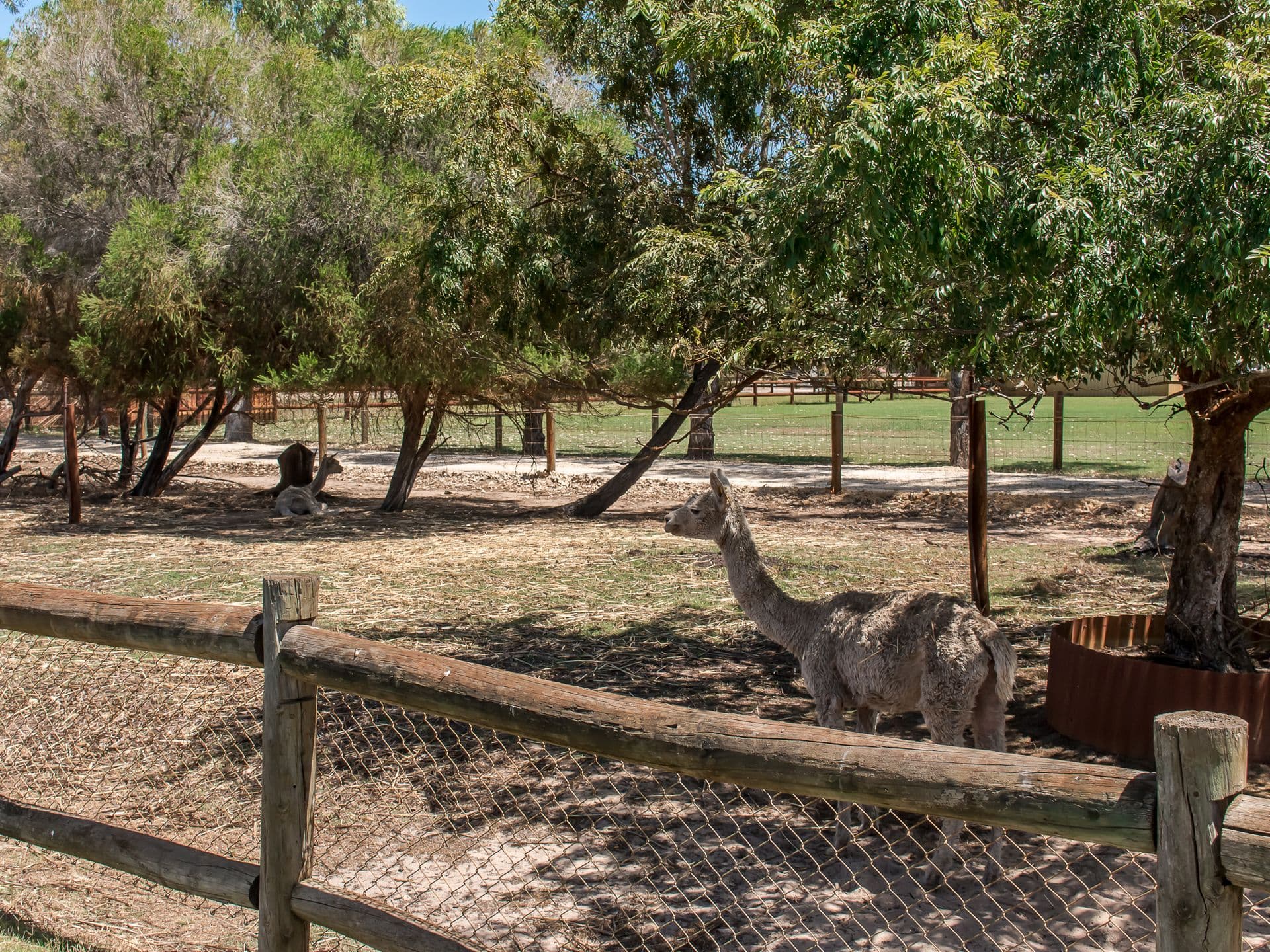 7/10 Warton Rd, Huntingdale, WA, 6110, Cardup - Thumbnail 8