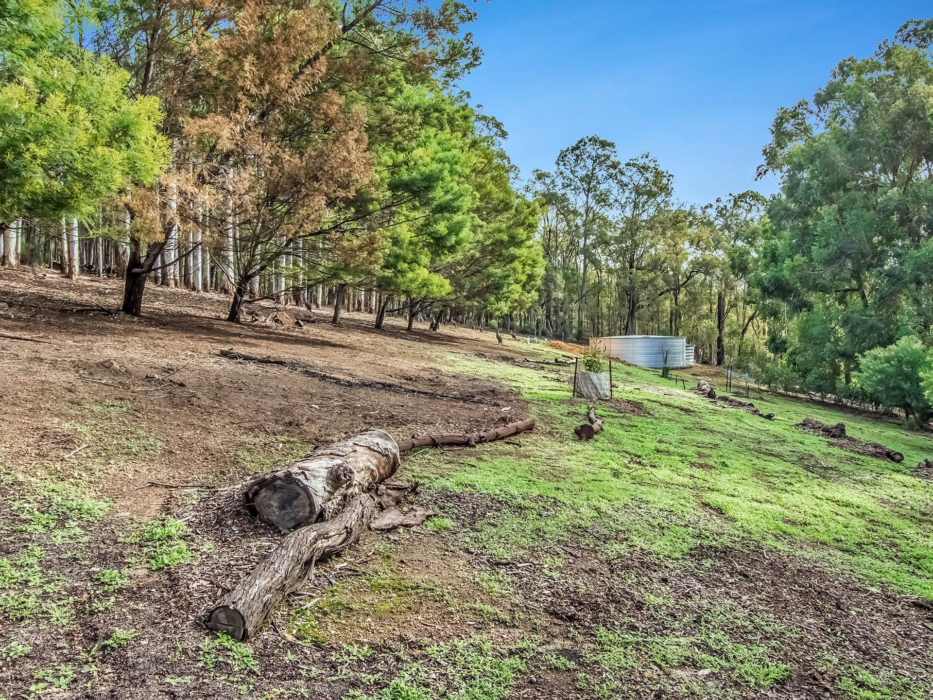 7/10 Warton Rd, Huntingdale, WA, 6110, Jarrahdale - Thumbnail 4