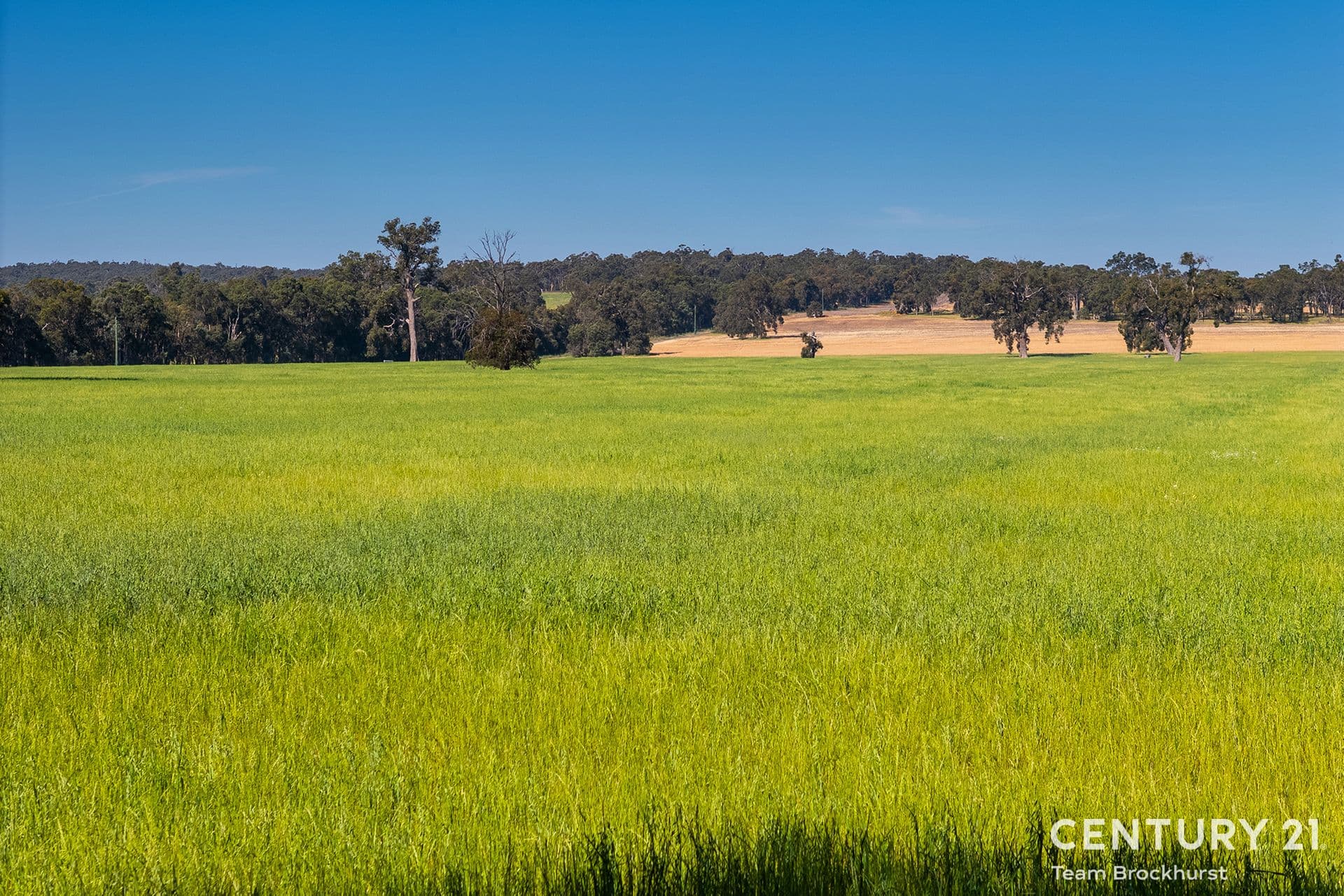 7/10 Warton Rd, Huntingdale, WA, 6110, Woottating - Thumbnail 4