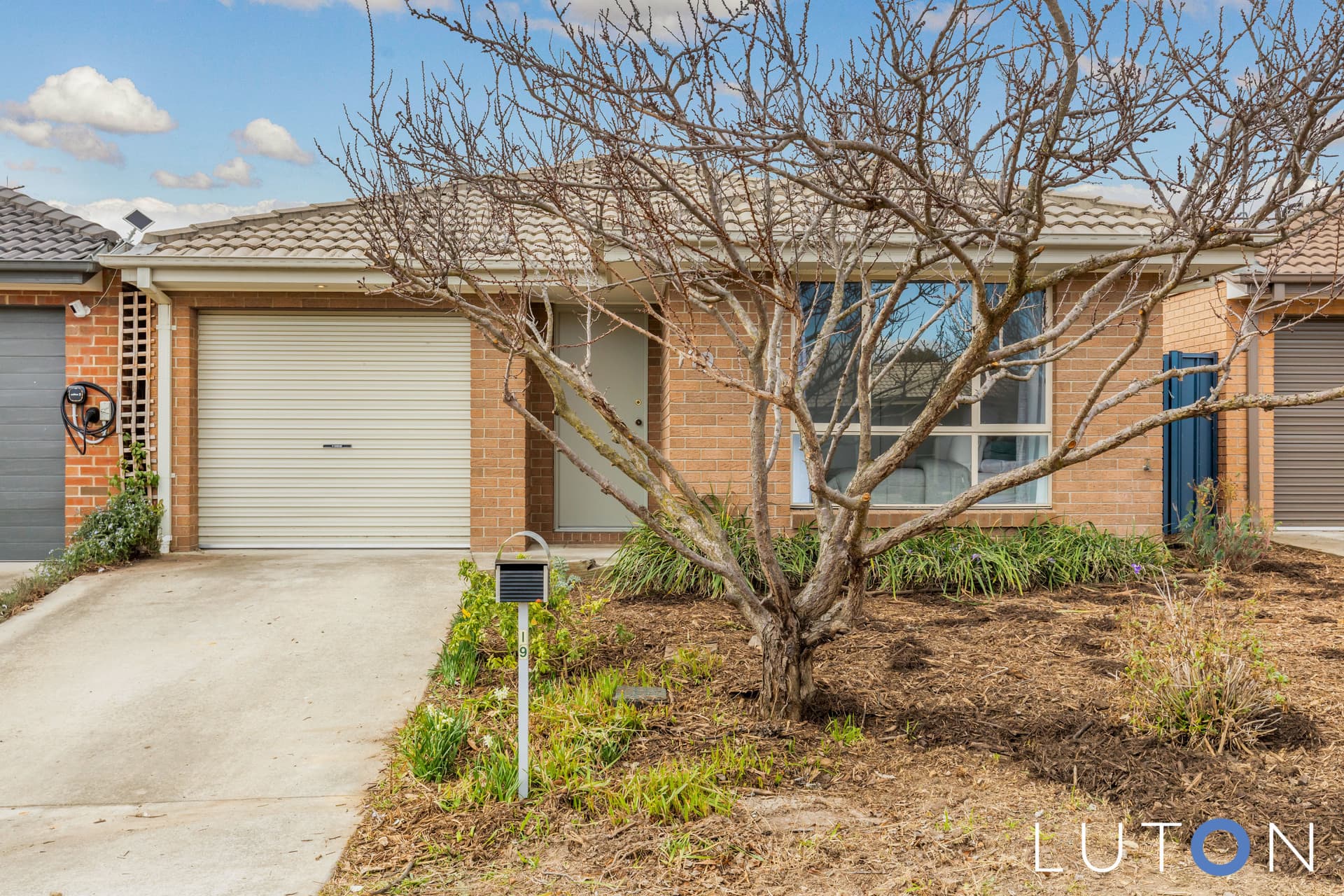 19 Rowland Street, Macgregor ACT 2615, Macgregor - Image 1