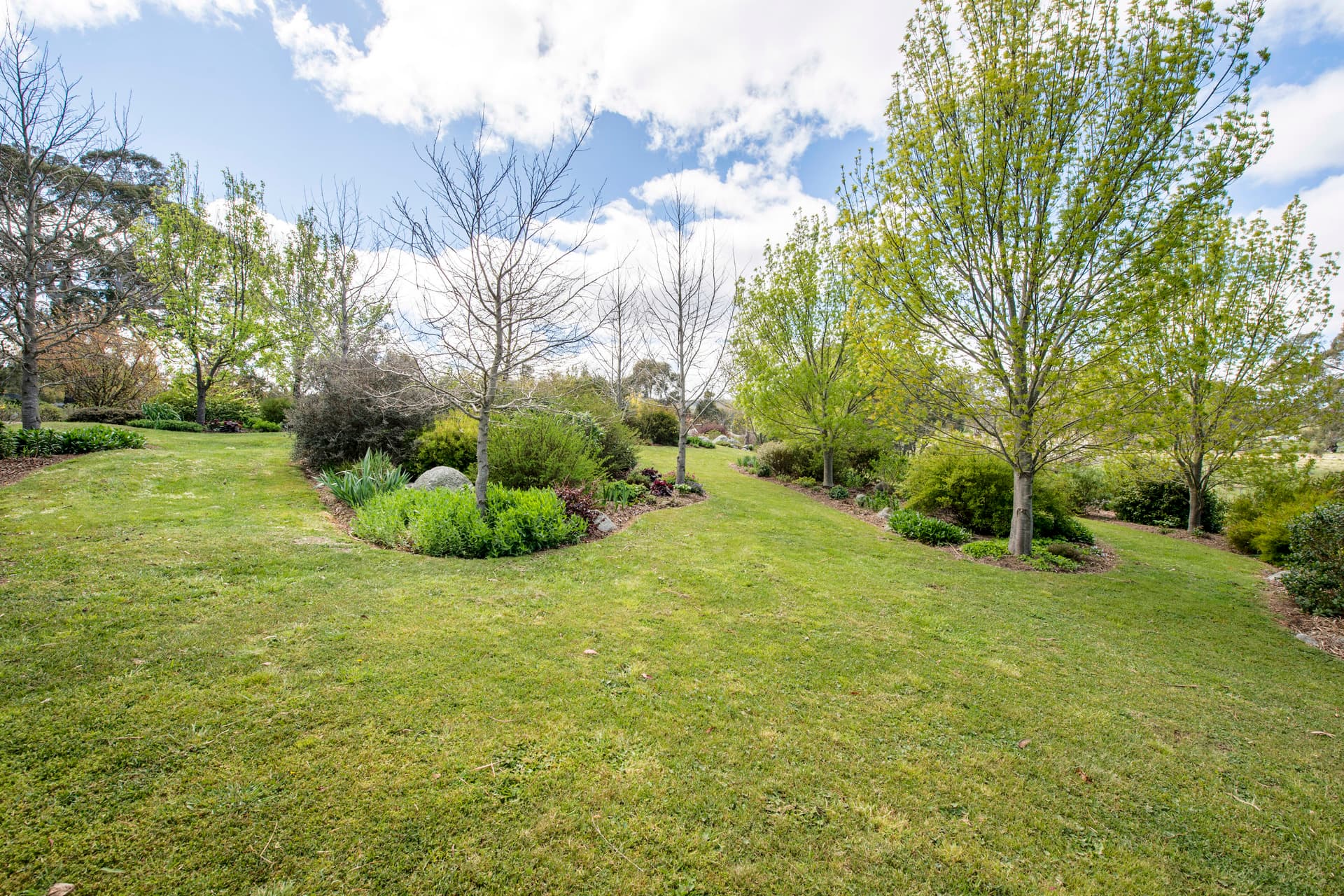 674 Reidsdale Road, Braidwood NSW 2622, Reidsdale - Thumbnail 2