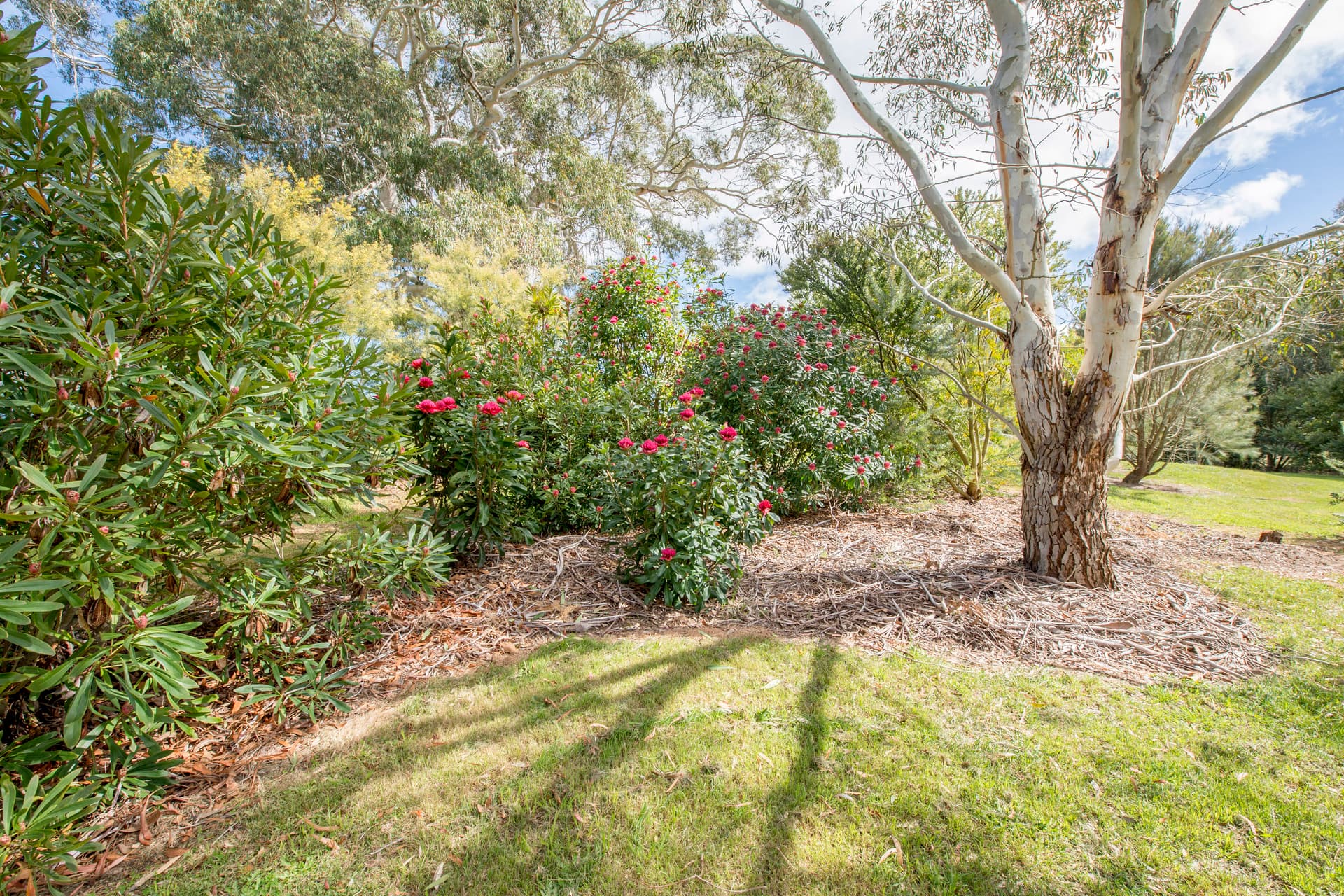 674 Reidsdale Road, Braidwood NSW 2622, Reidsdale - Thumbnail 4
