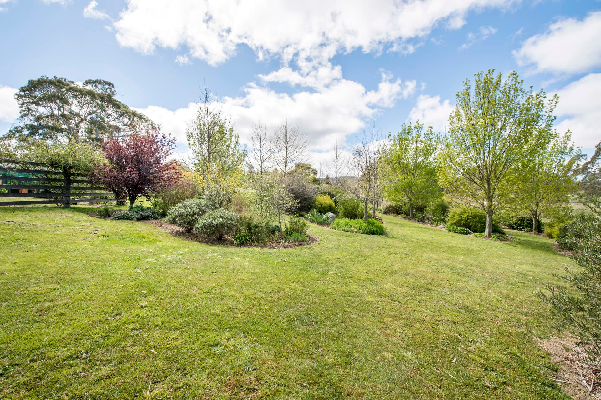 674 Reidsdale Road, Braidwood NSW 2622, Reidsdale - Thumbnail 3