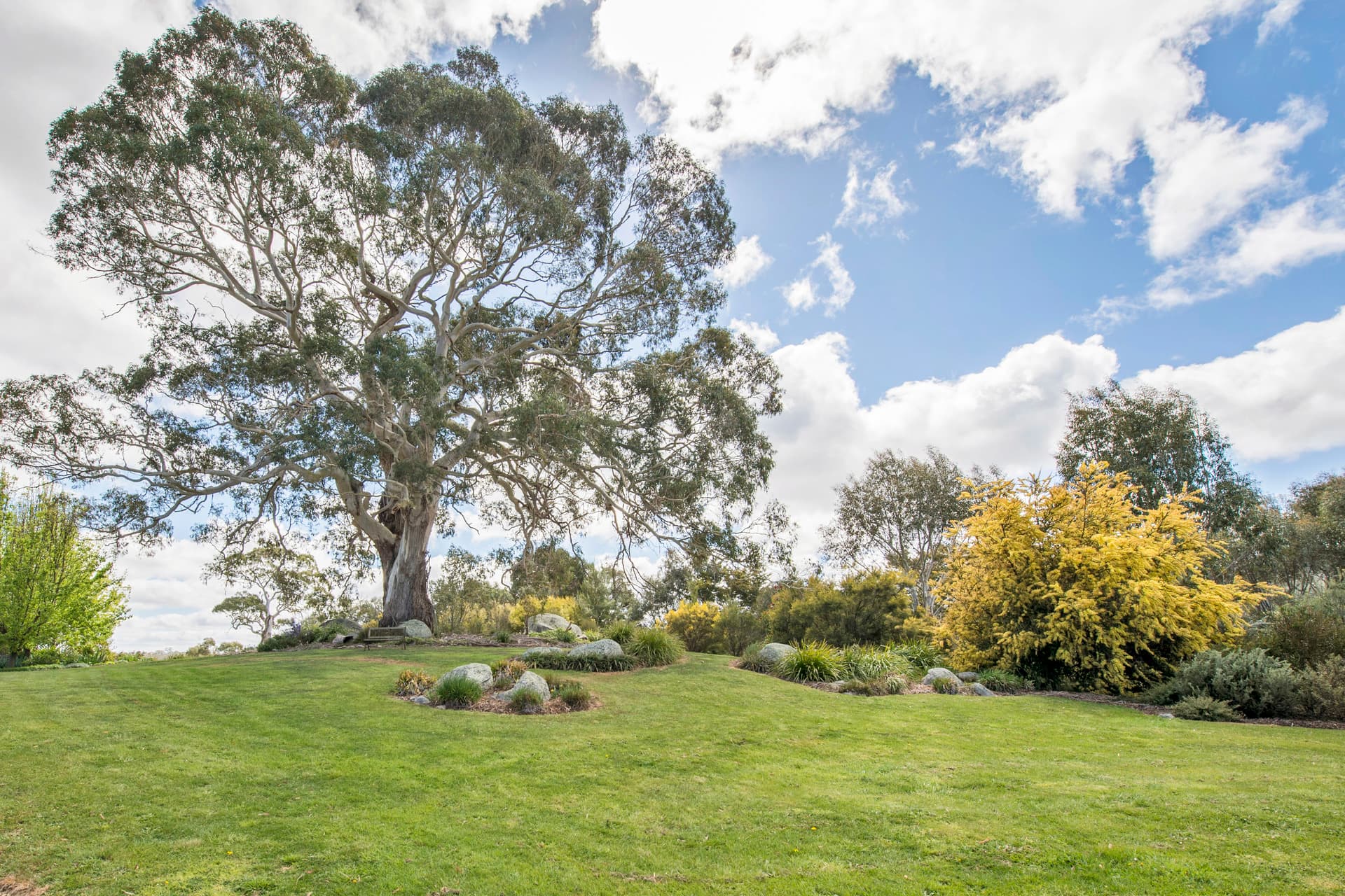674 Reidsdale Road, Braidwood NSW 2622, Reidsdale - Thumbnail 5
