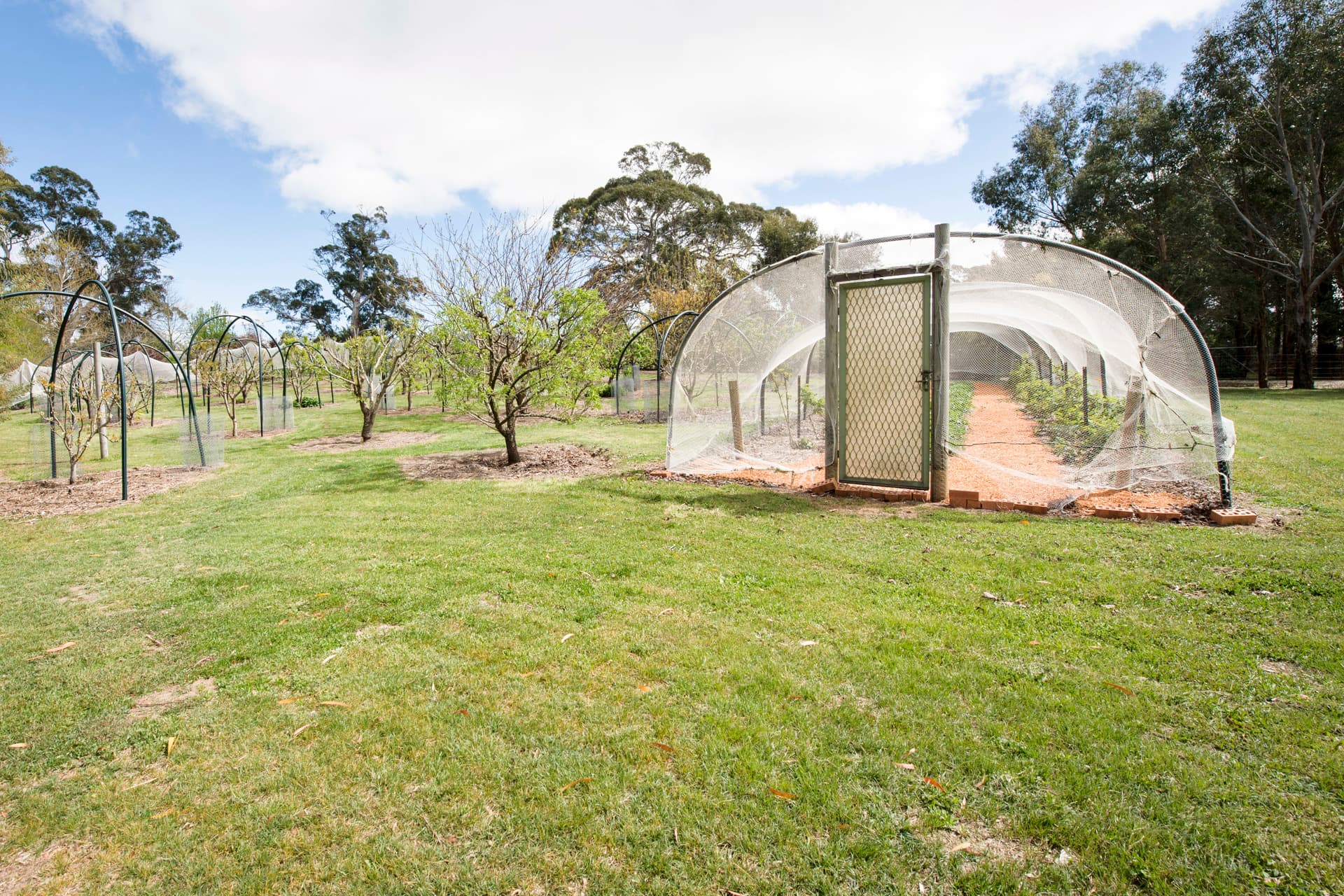 674 Reidsdale Road, Braidwood NSW 2622, Reidsdale - Thumbnail 7