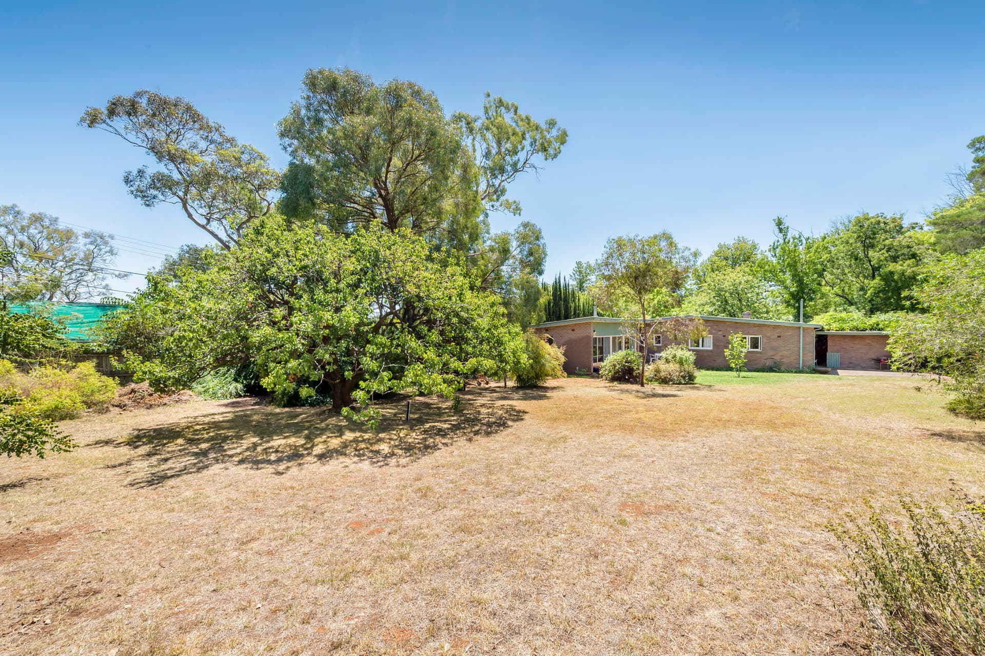 128 Schlich Street, Yarralumla ACT 2600, Yarralumla - Thumbnail 5