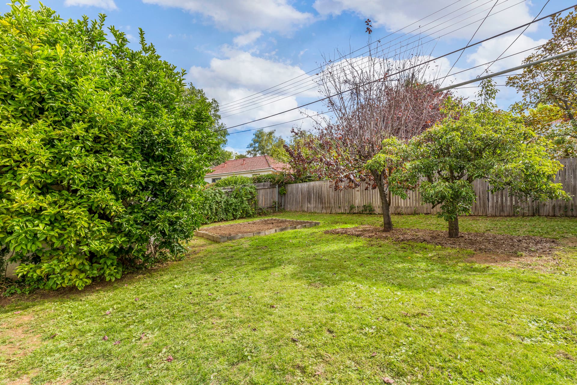 55 Flinders Way, Griffith ACT 2603, Griffith - Thumbnail 7