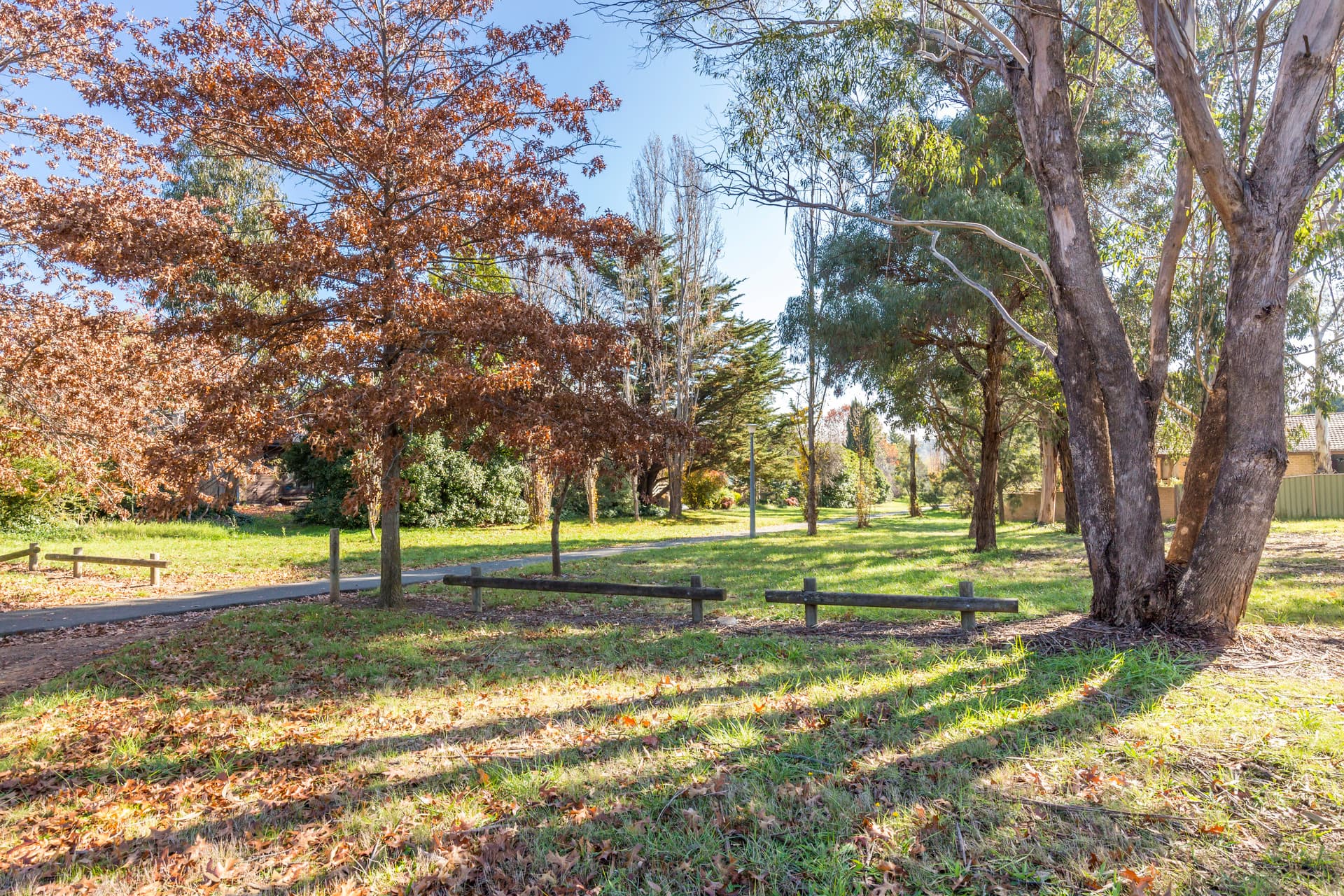 5 Box Place, Latham ACT 2615, Latham - Thumbnail 7