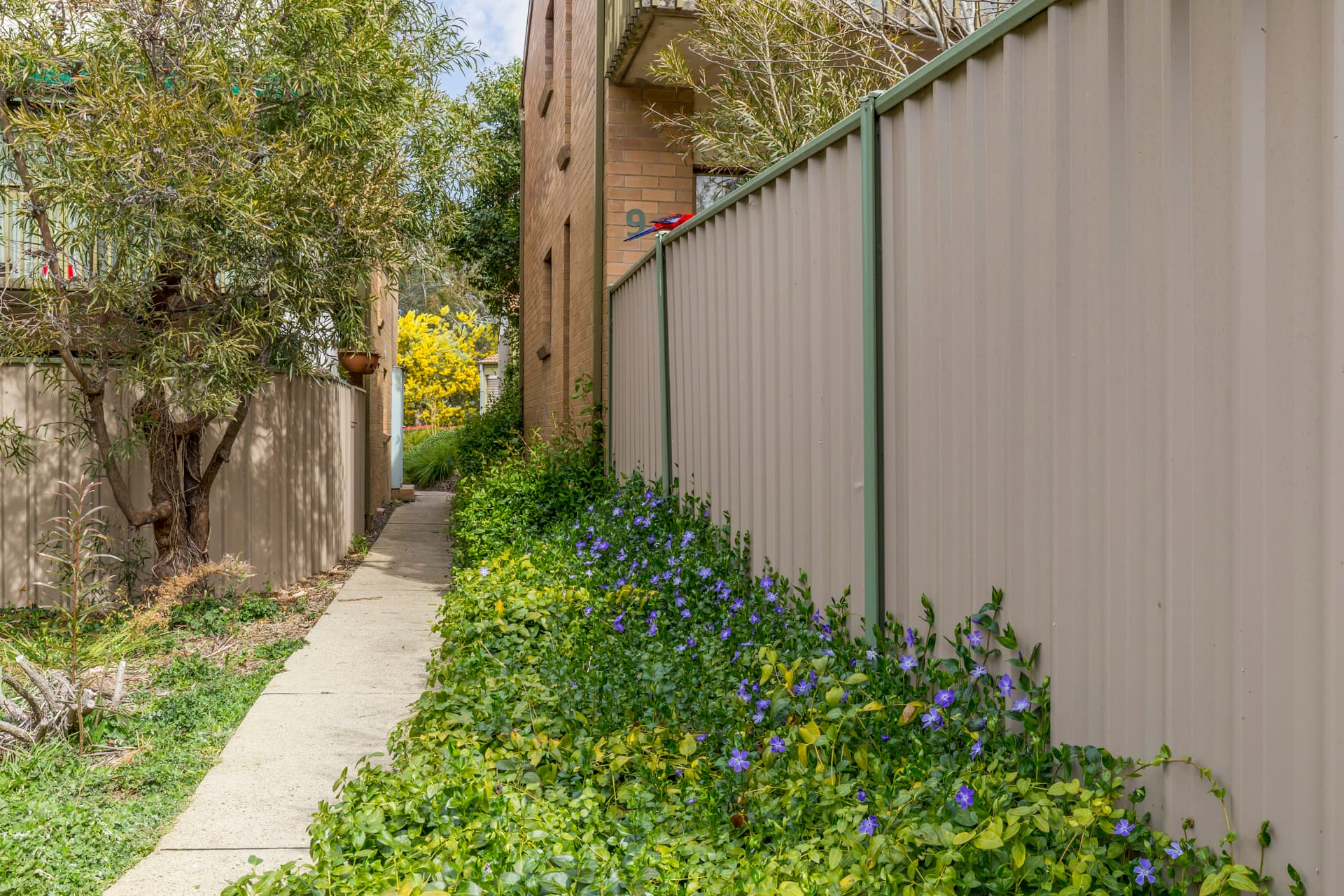 9/7 Osborne Place, Belconnen ACT 2617, Belconnen - Thumbnail 5