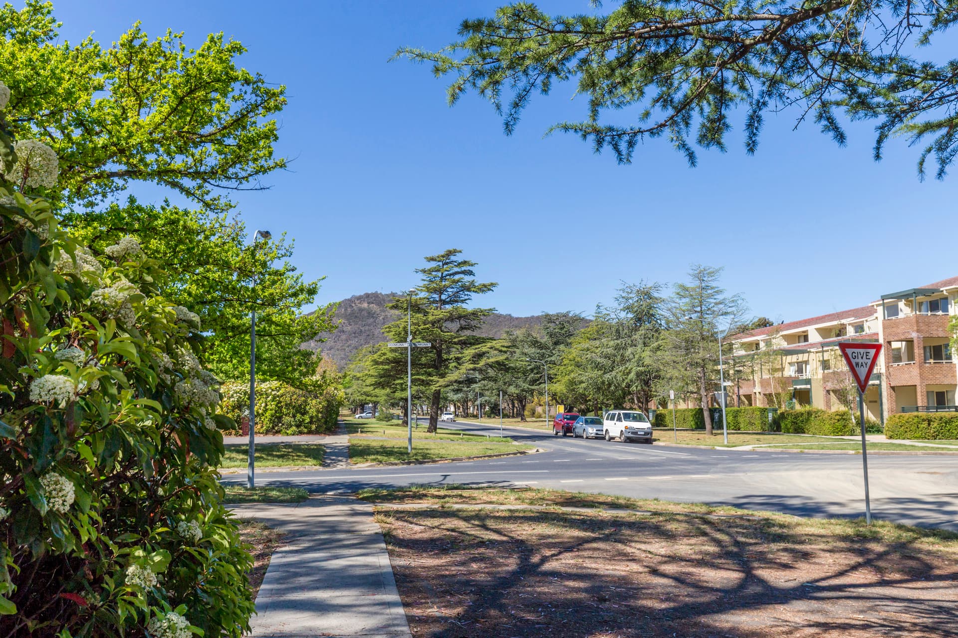 13 Batman Street, Braddon ACT 2612, Braddon - Thumbnail 3