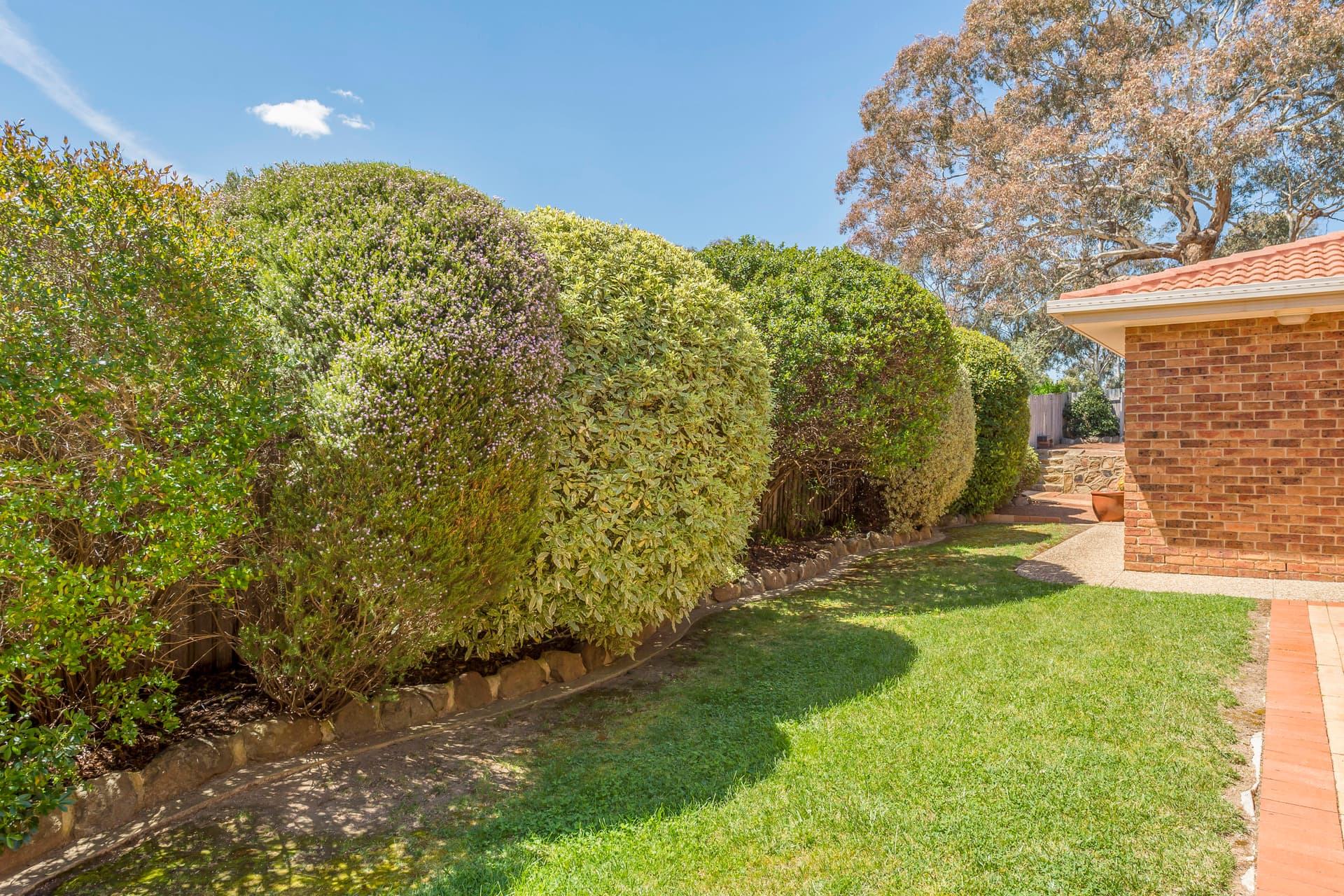12 Gangele Street, Ngunnawal ACT 2913, Ngunnawal - Thumbnail 7