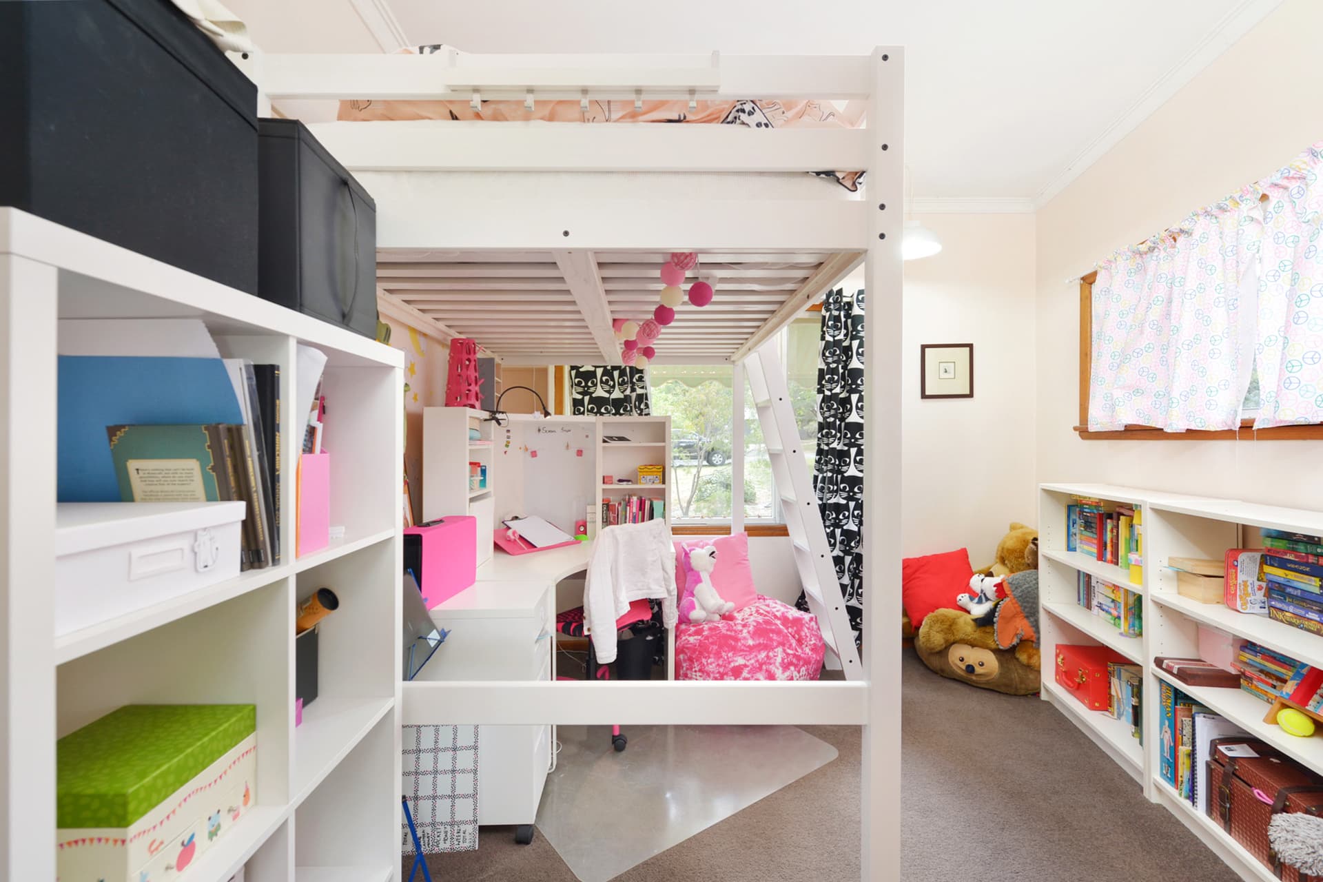 16 Fergusson Crescent, Deakin ACT 2600, Deakin - Thumbnail 3