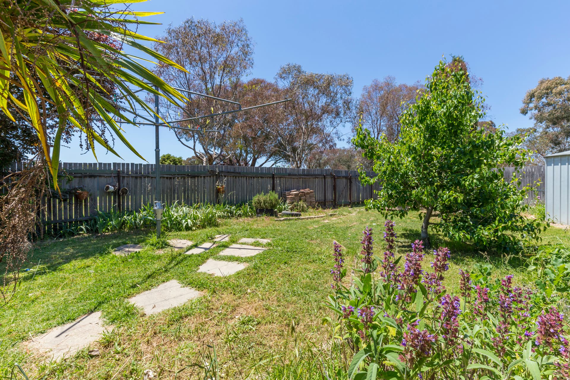 13 Waterfield Place, Charnwood ACT 2615, Charnwood - Thumbnail 4