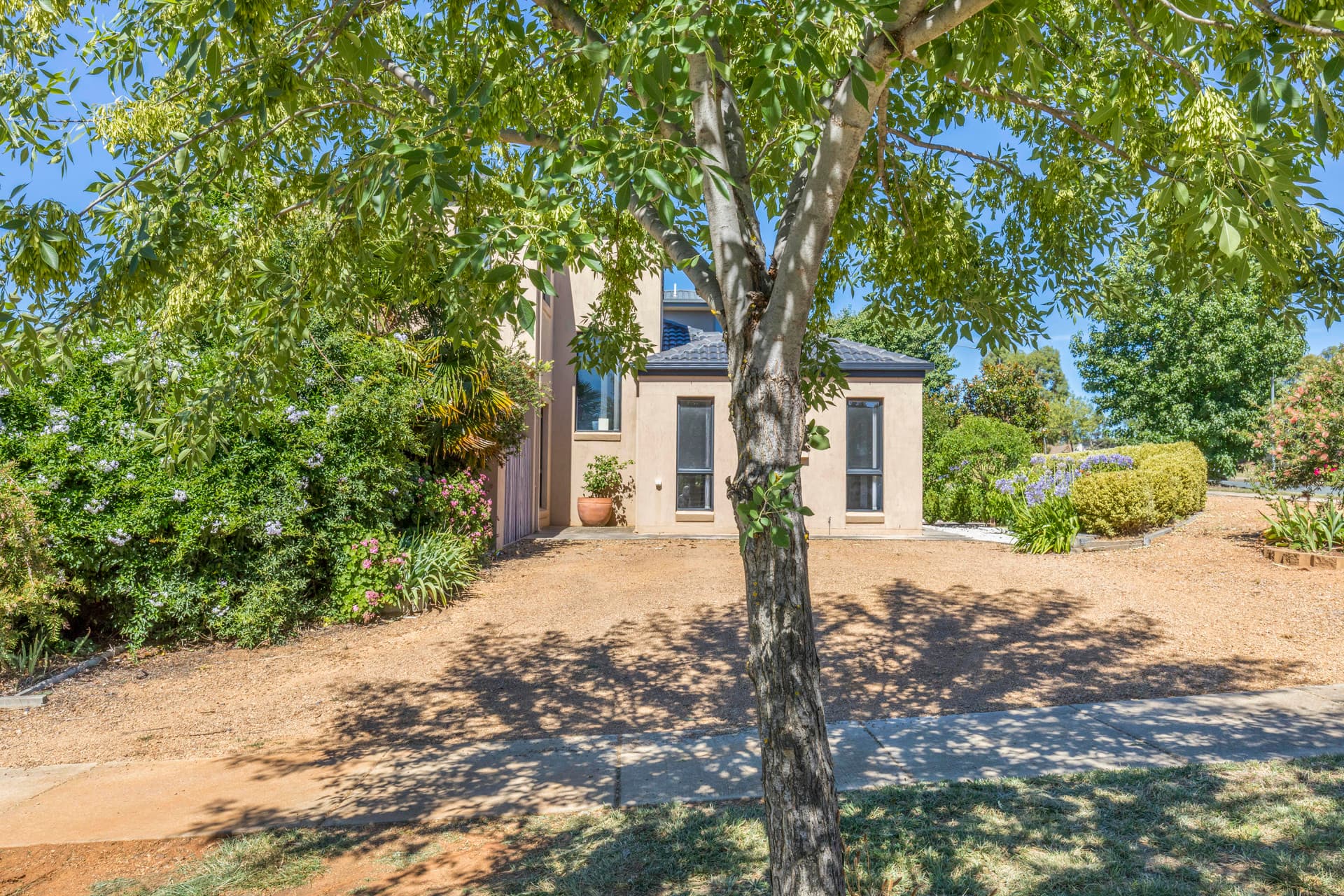 8 De Bortoli Street, Harrison ACT 2914, Harrison - Thumbnail 8
