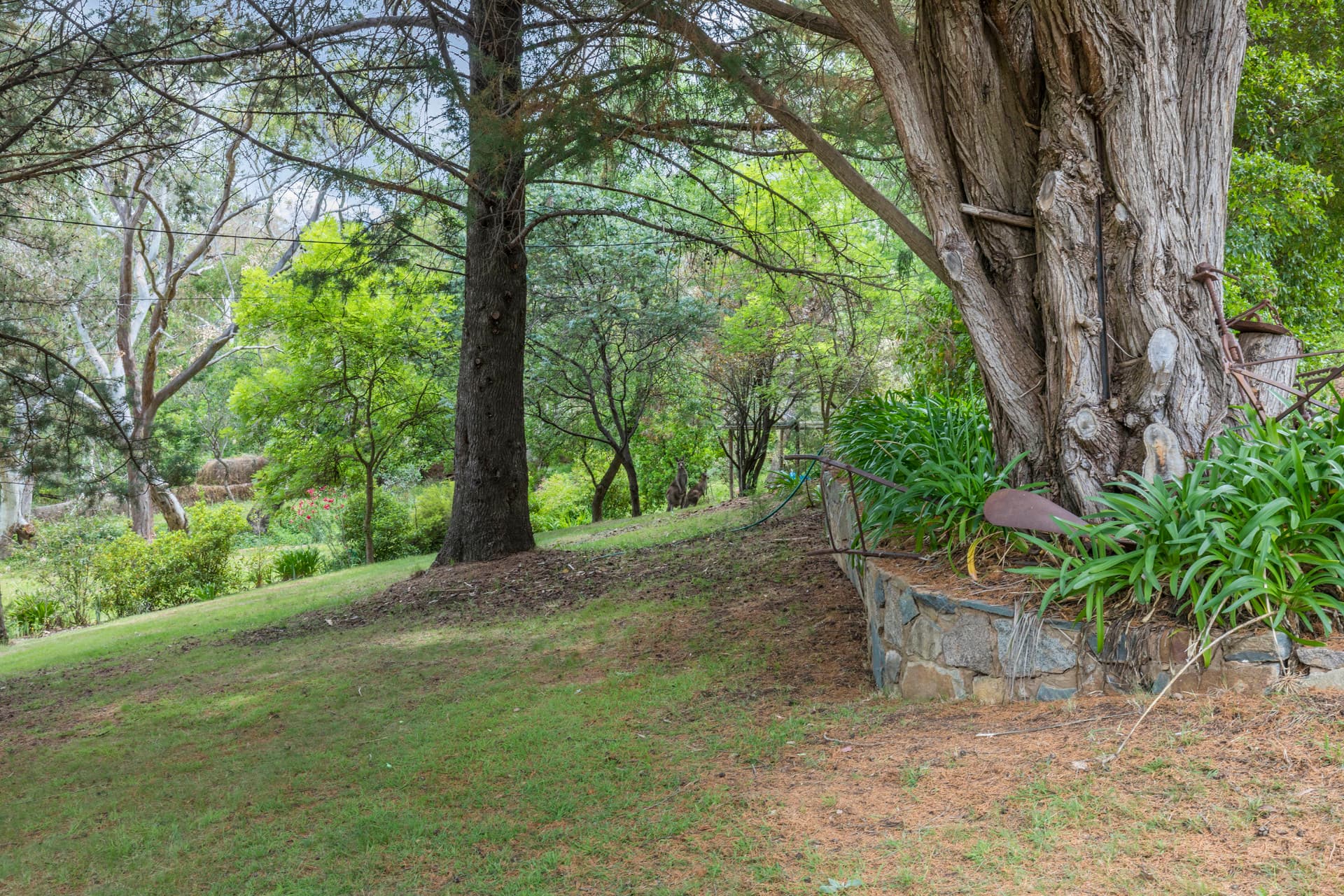 2 Union Street, Tharwa ACT 2620, Tharwa - Thumbnail 7