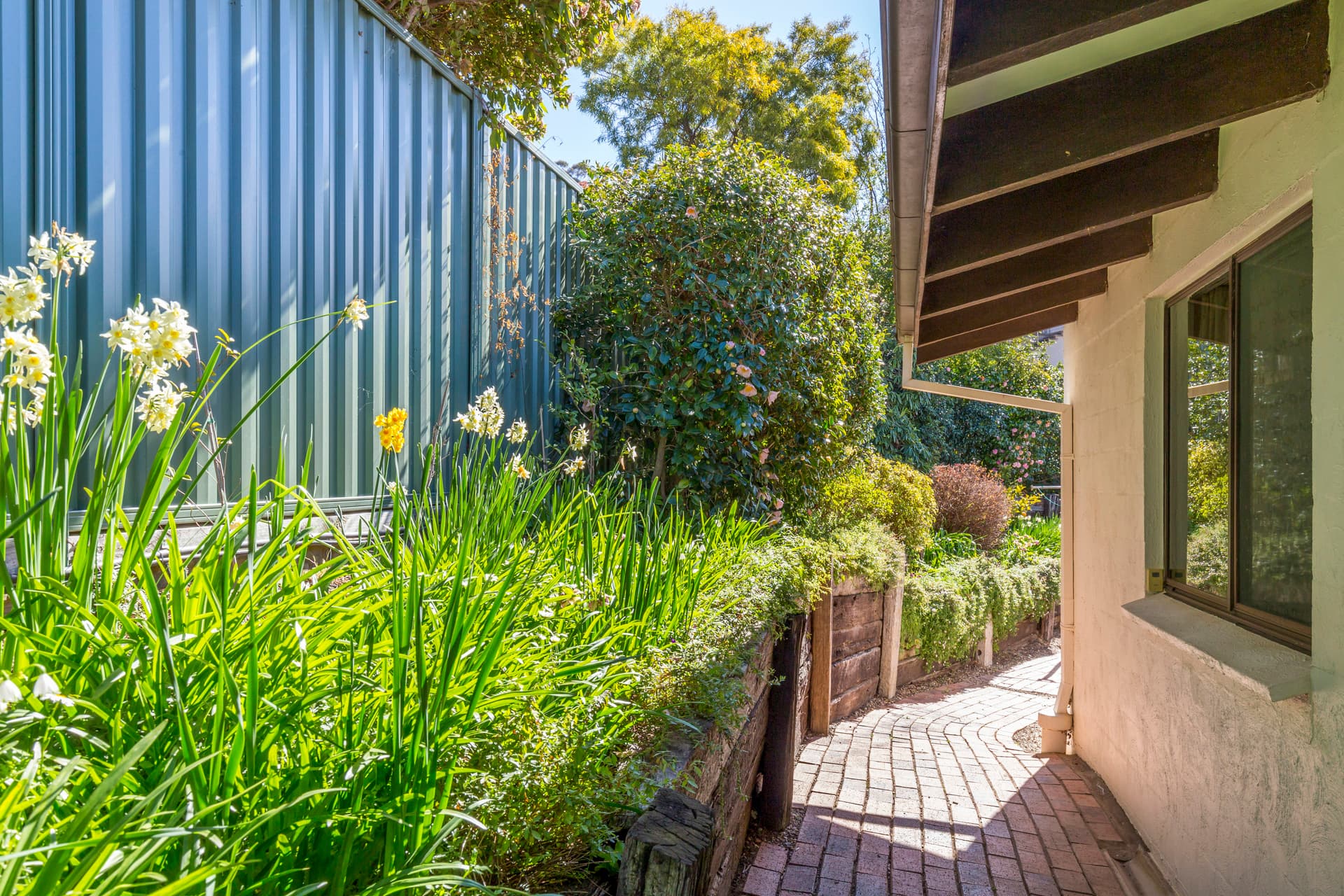 35 Bainton Crescent, Melba ACT 2615, Melba - Thumbnail 6