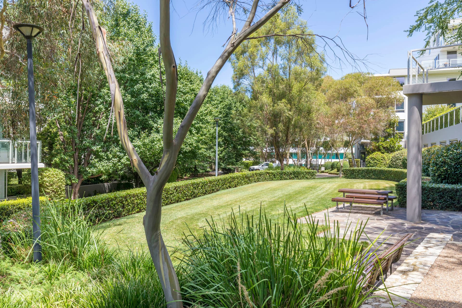 44/45 Blackall Street, Barton ACT 2600, Barton - Thumbnail 6