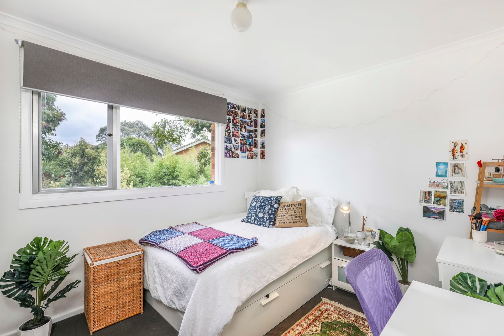 19 Mouat Street, Lyneham ACT 2602, Lyneham - Thumbnail 3