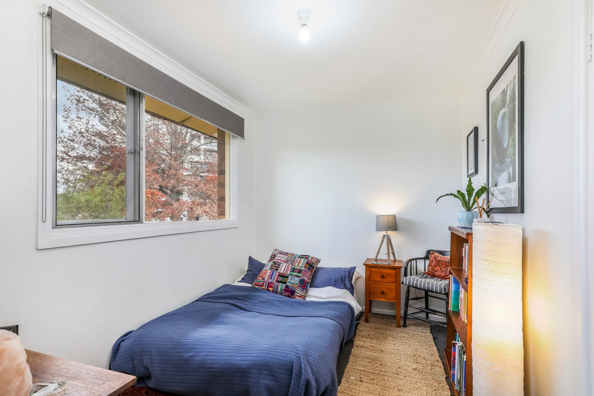 19 Mouat Street, Lyneham ACT 2602, Lyneham - Thumbnail 4