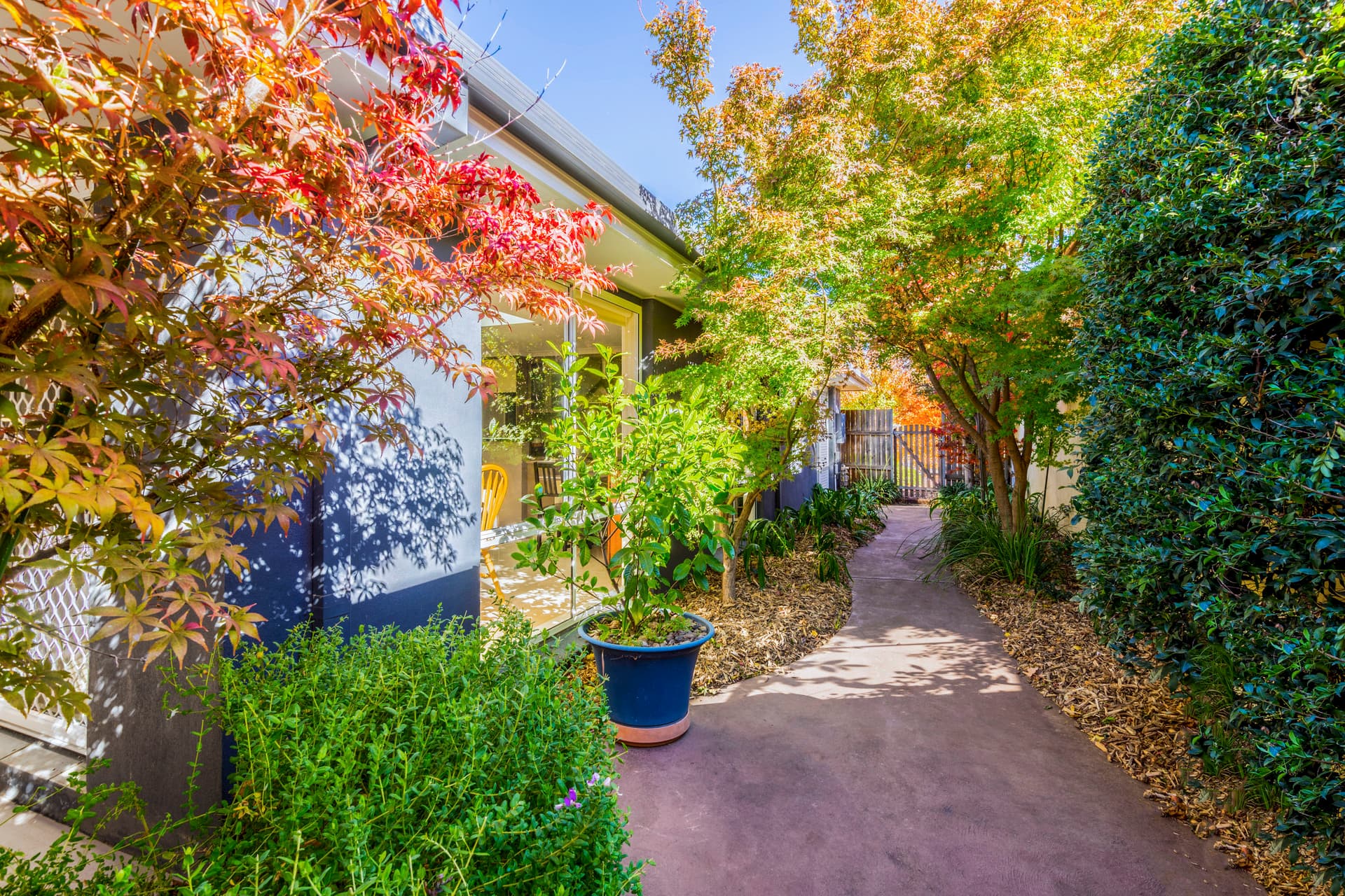 47 Mary Kitson Street, Watson ACT 2602, Watson - Thumbnail 7