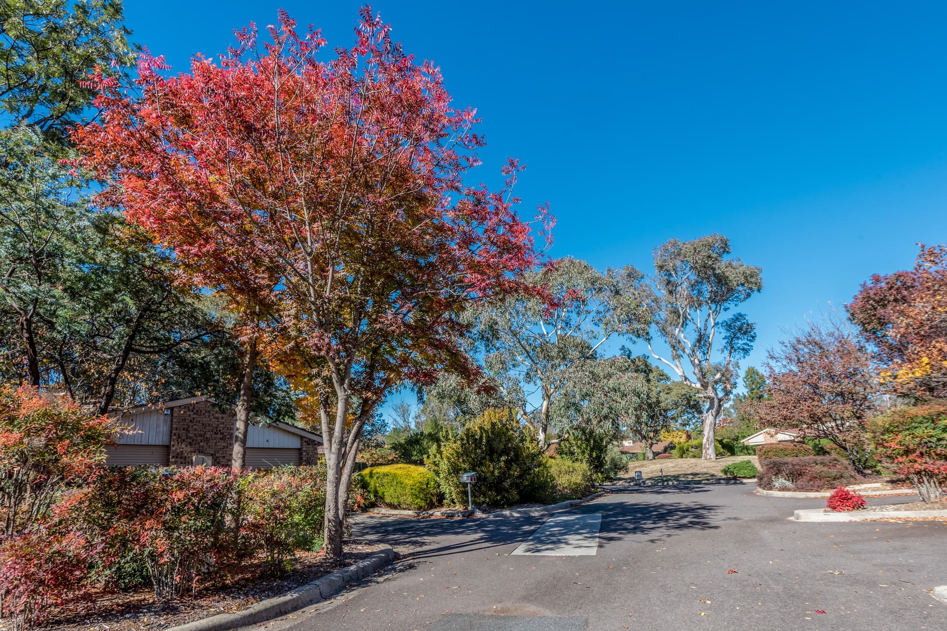 4/33 Hargraves Street, Scullin ACT 2614, Scullin - Thumbnail 7