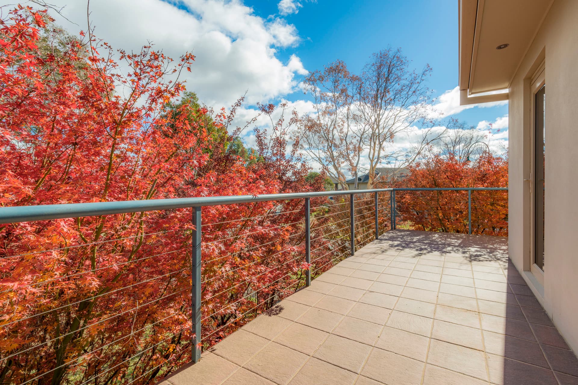 7 Stride Lane, Gungahlin ACT 2912, Gungahlin - Thumbnail 5