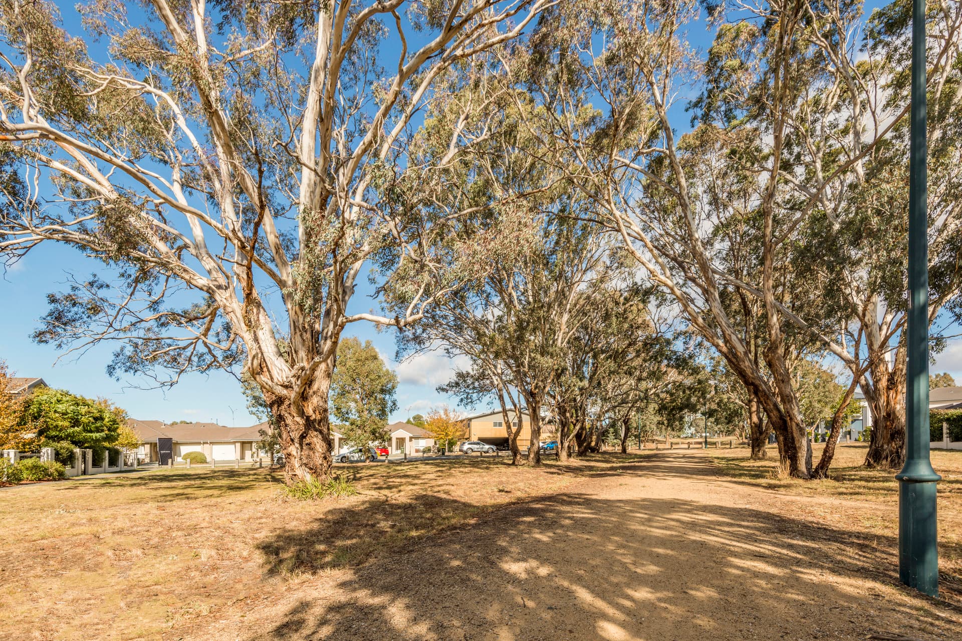 7 Stride Lane, Gungahlin ACT 2912, Gungahlin - Thumbnail 7