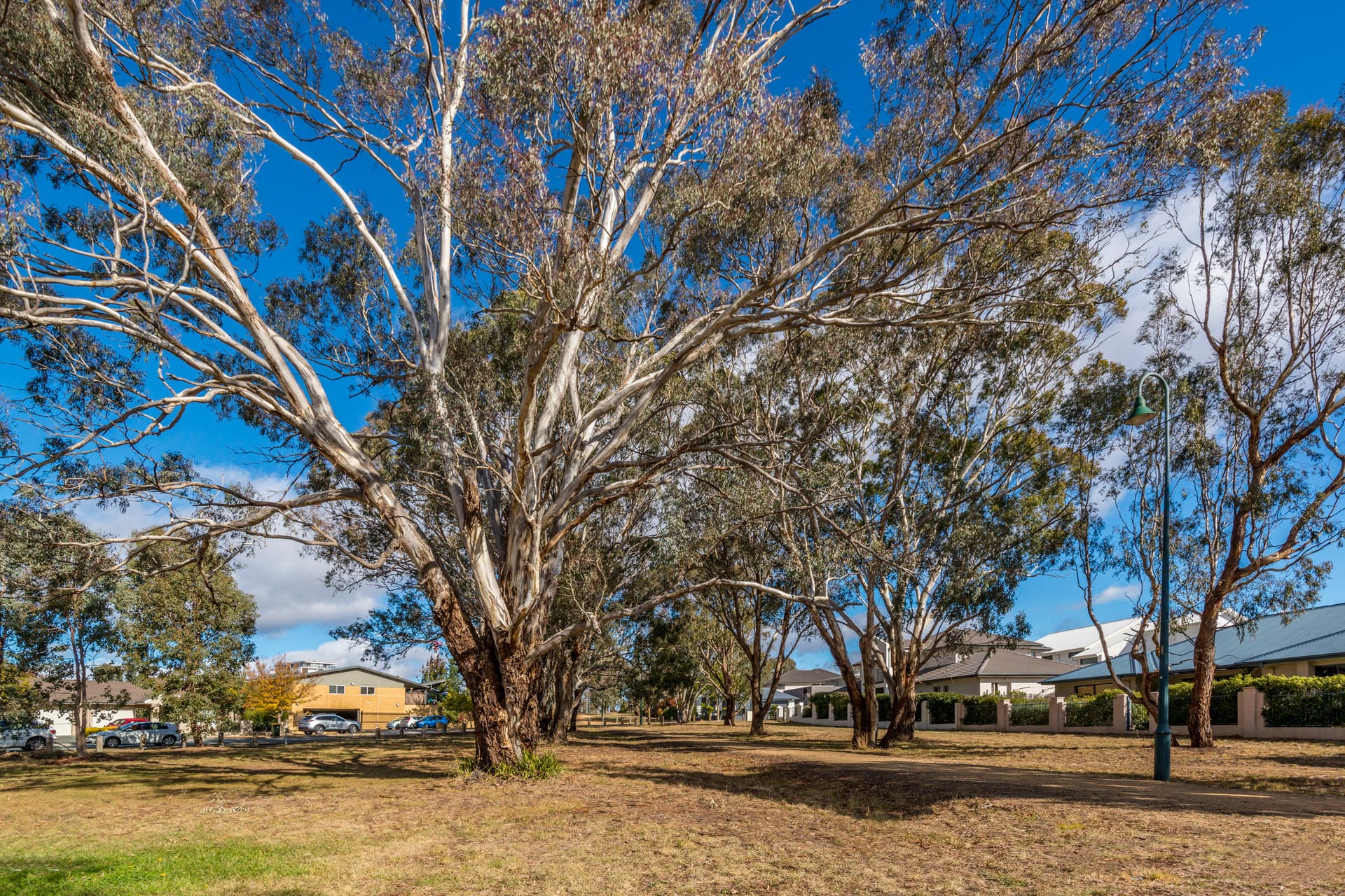 7 Stride Lane, Gungahlin ACT 2912, Gungahlin - Thumbnail 6