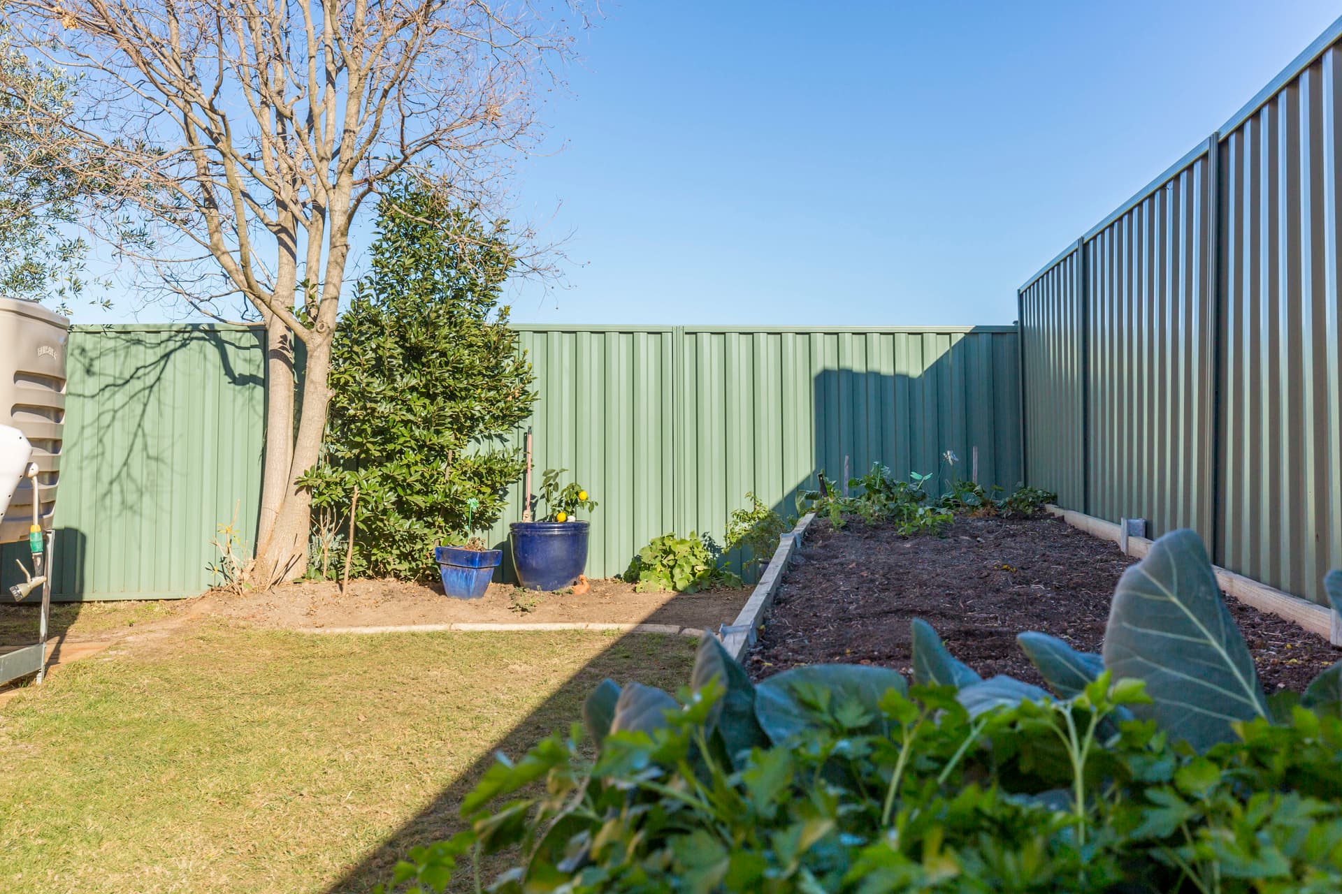 13/5 Figg Place, Palmerston ACT 2913, Palmerston - Thumbnail 5