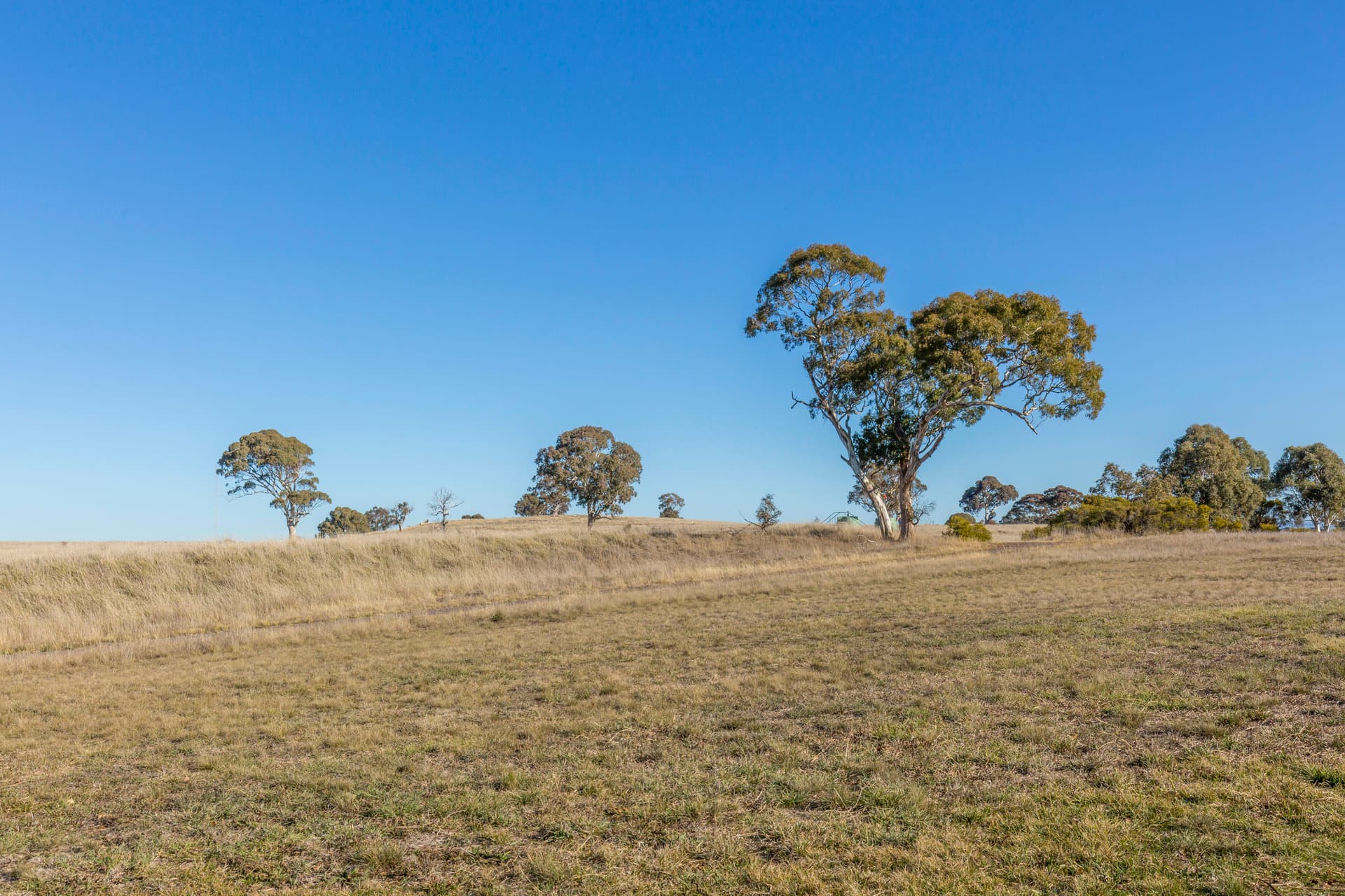 13/5 Figg Place, Palmerston ACT 2913, Palmerston - Thumbnail 8