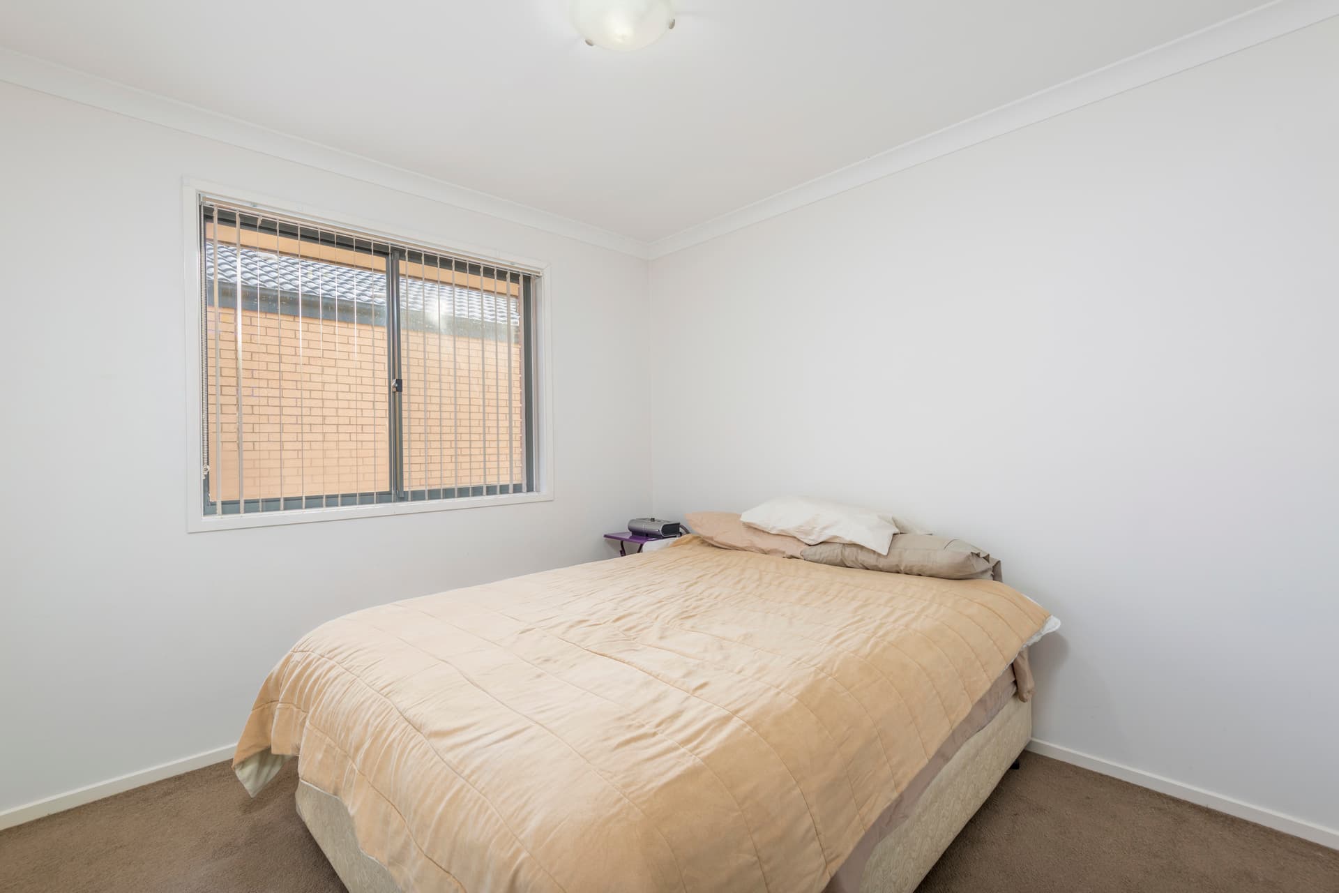 16 Ida Birchall Crescent, Macgregor ACT 2615, Macgregor - Thumbnail 3