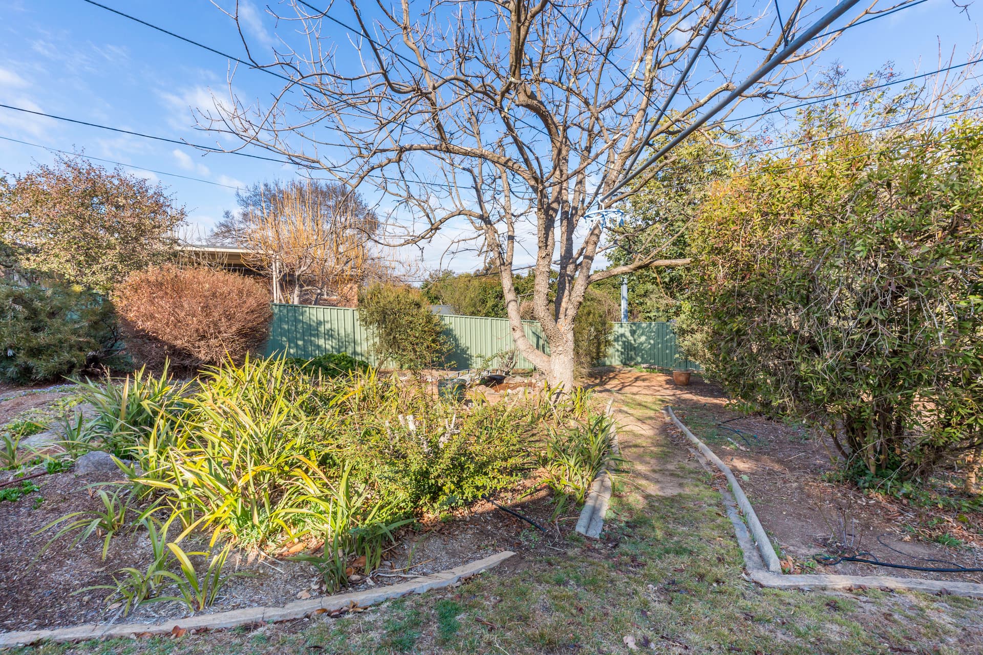 9 Archdall Street, Macgregor ACT 2615, Macgregor - Thumbnail 4