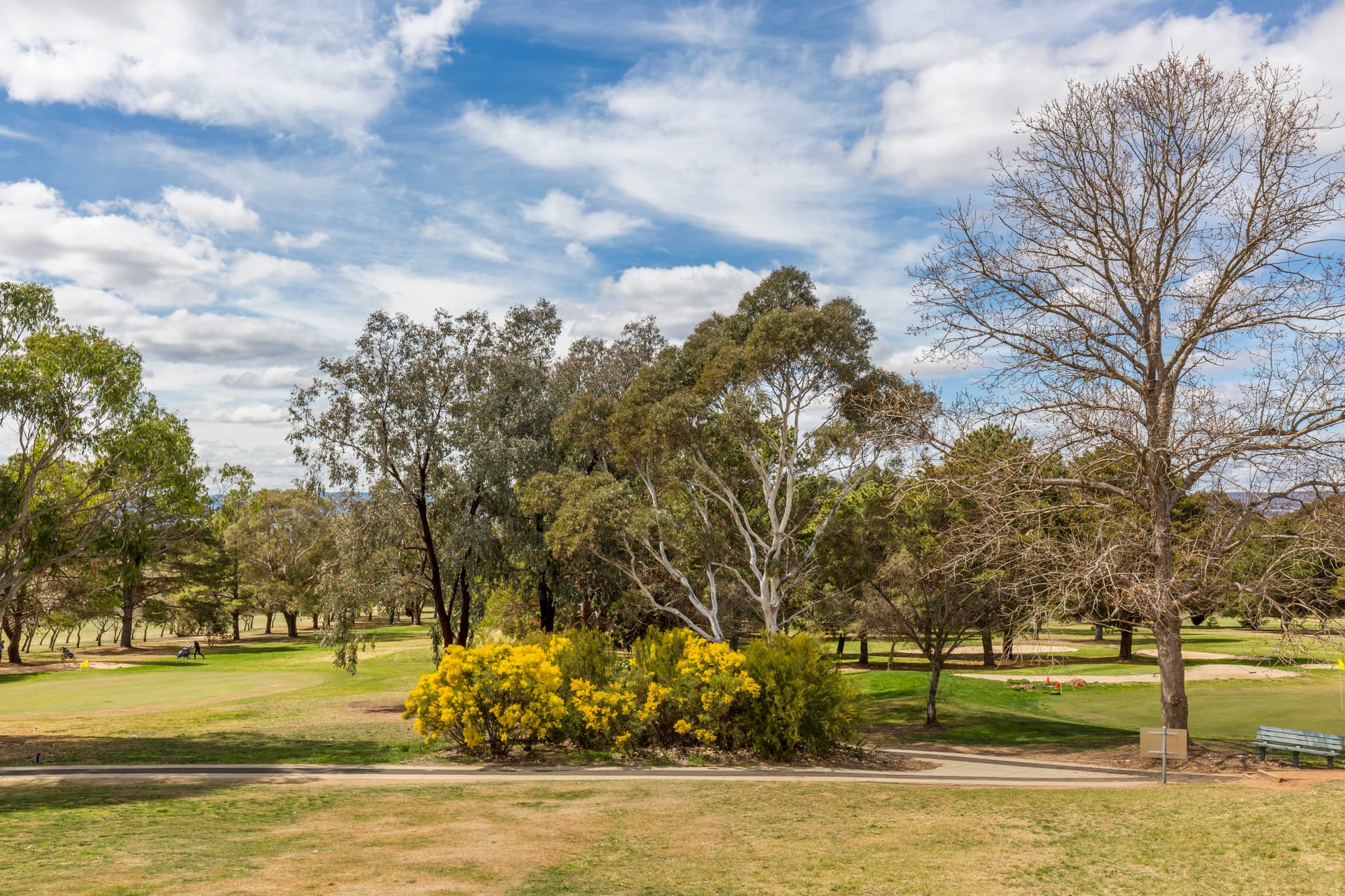 9/45 Leahy Close, Narrabundah ACT 2604, Narrabundah - Image 1
