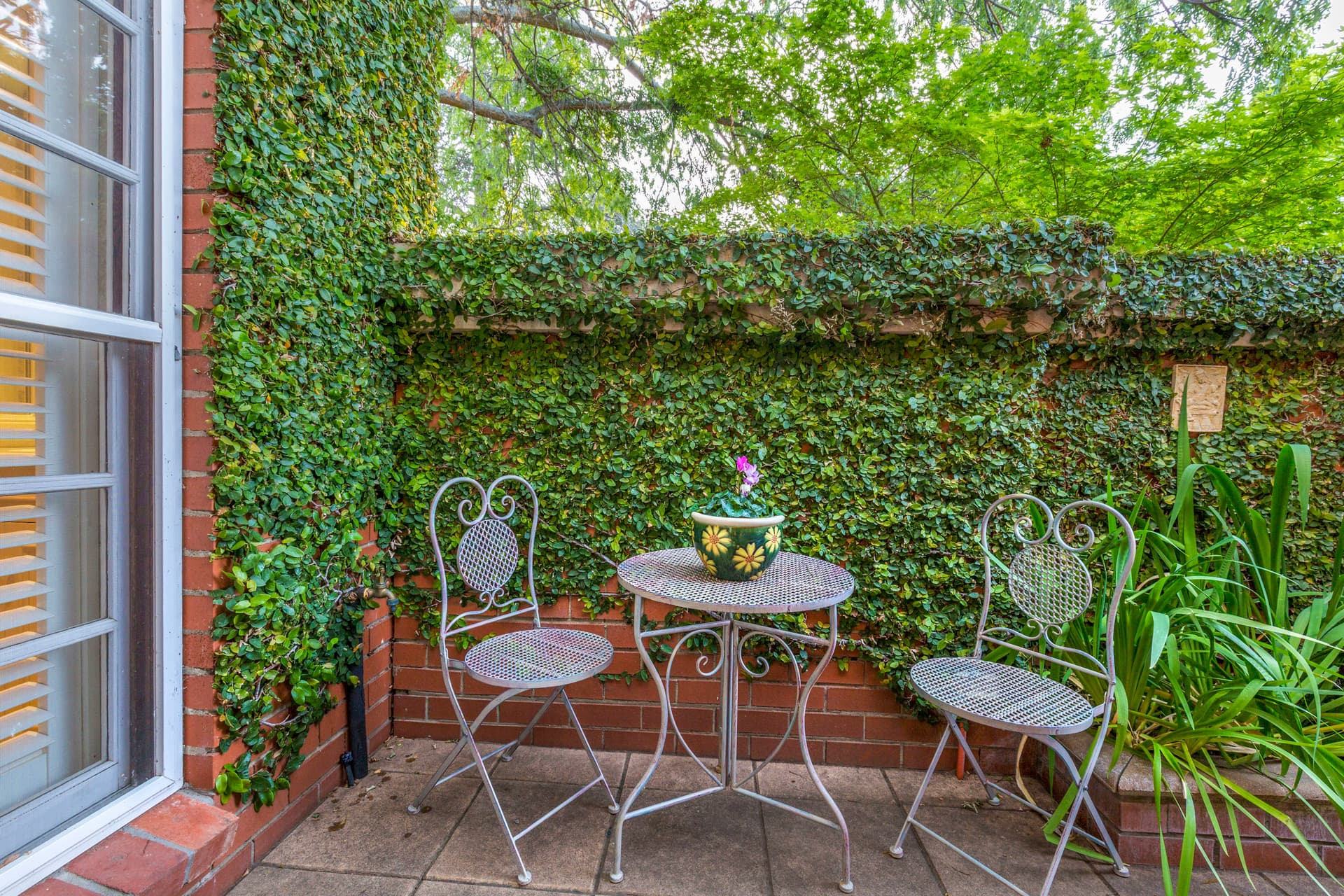 37 Captain Cook Crescent, Griffith ACT 2603, Griffith - Thumbnail 2