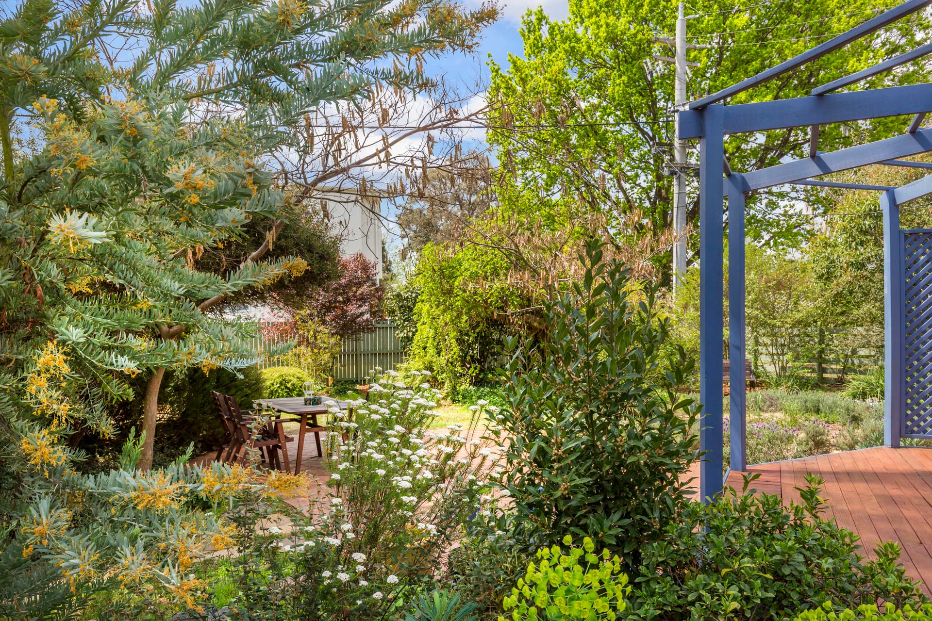 17 Fenner Street, Downer ACT 2602, Downer - Thumbnail 3