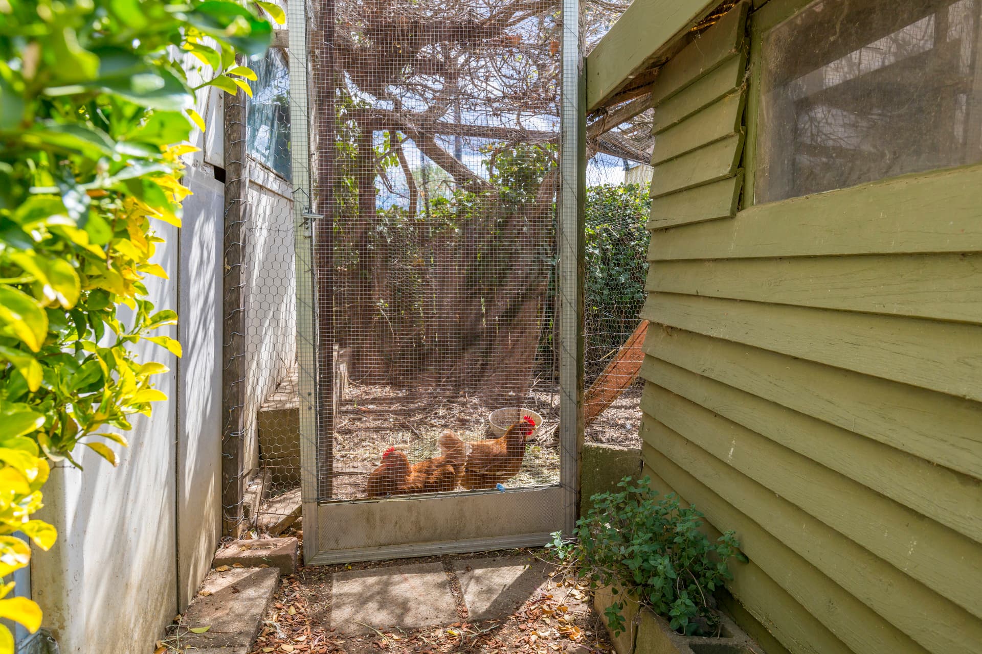 17 Fenner Street, Downer ACT 2602, Downer - Thumbnail 8