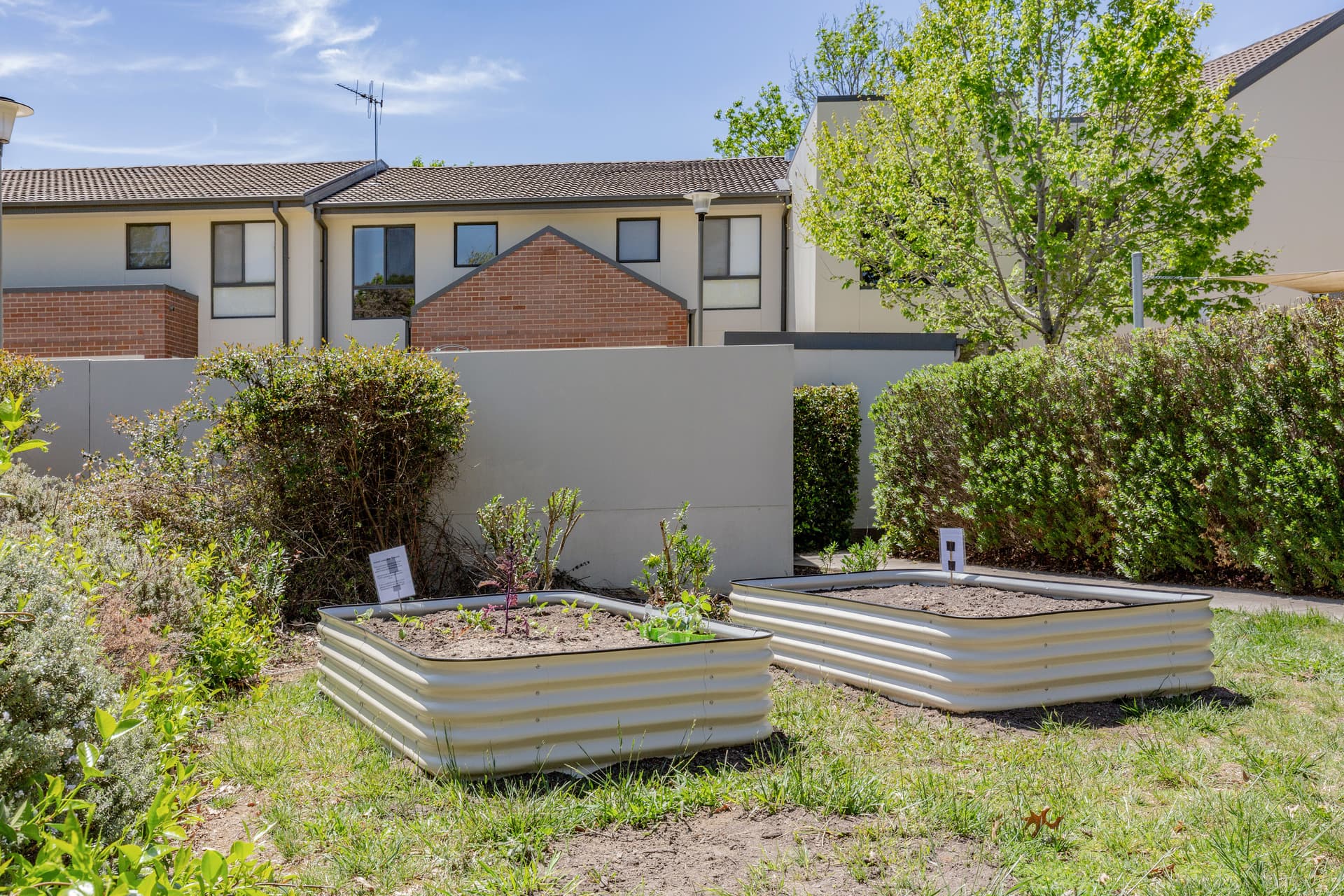 50/193 Mouat Street, Lyneham ACT 2602, Lyneham - Thumbnail 5