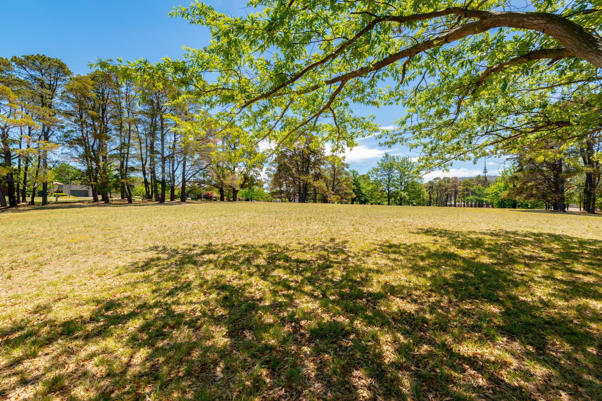 16 Turner Place, Yarralumla ACT 2600, Yarralumla - Thumbnail 3