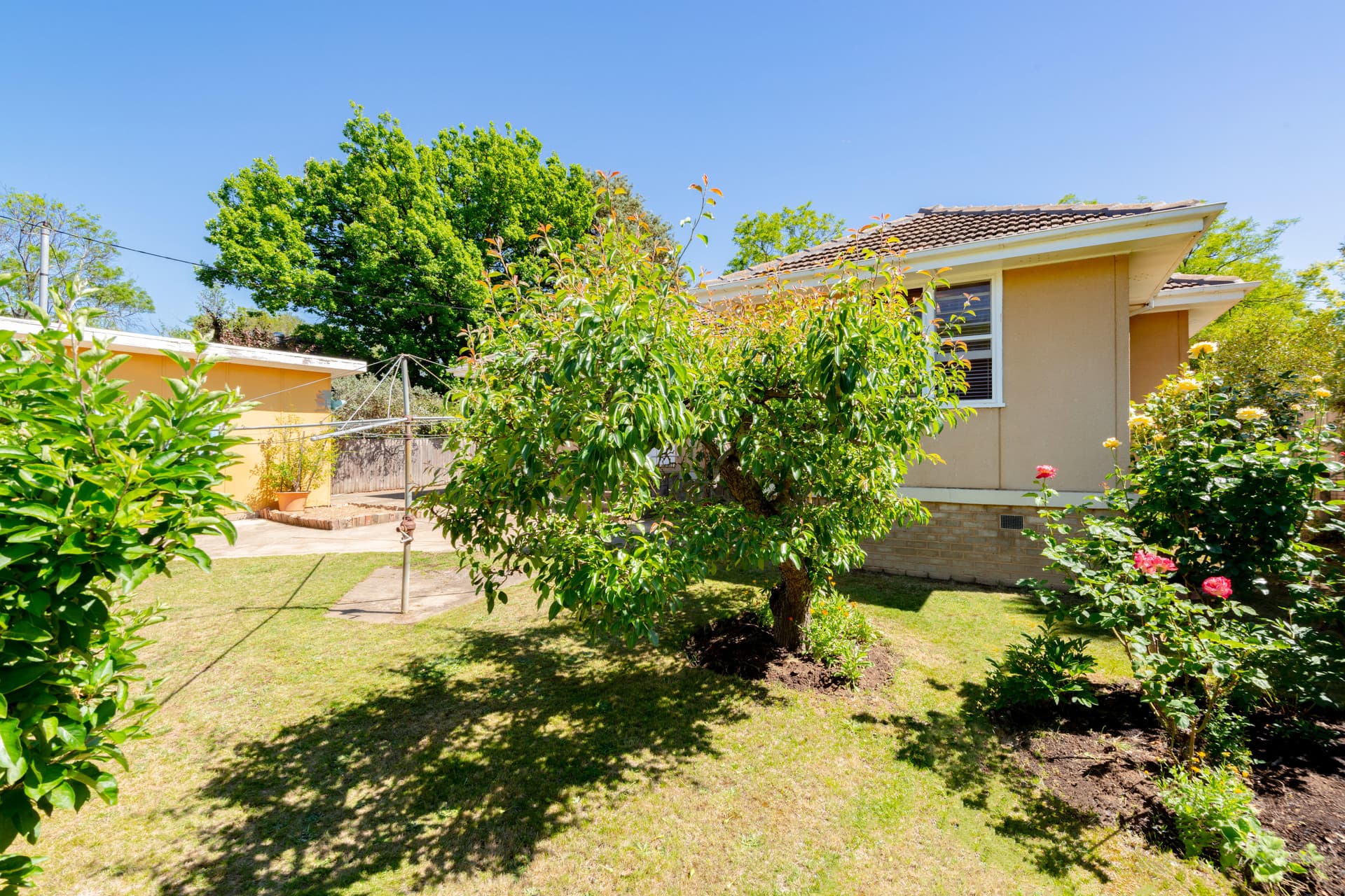 16 Turner Place, Yarralumla ACT 2600, Yarralumla - Thumbnail 2