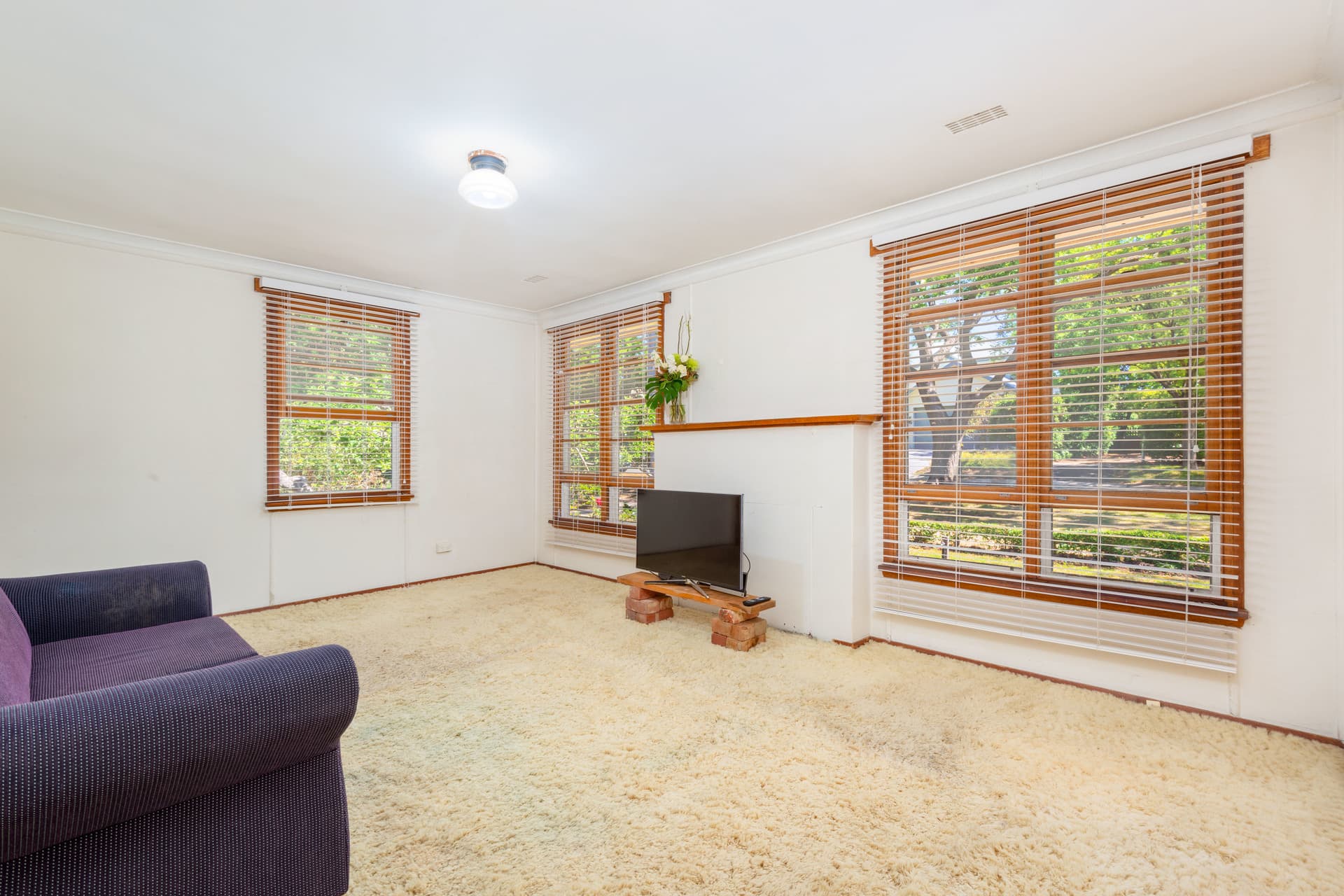 16 Turner Place, Yarralumla ACT 2600, Yarralumla - Thumbnail 7