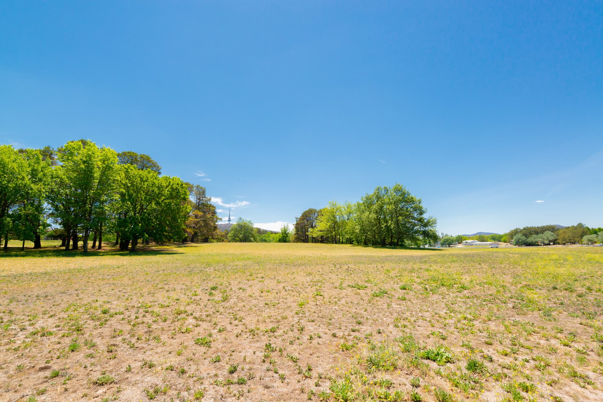 16 Turner Place, Yarralumla ACT 2600, Yarralumla - Thumbnail 5