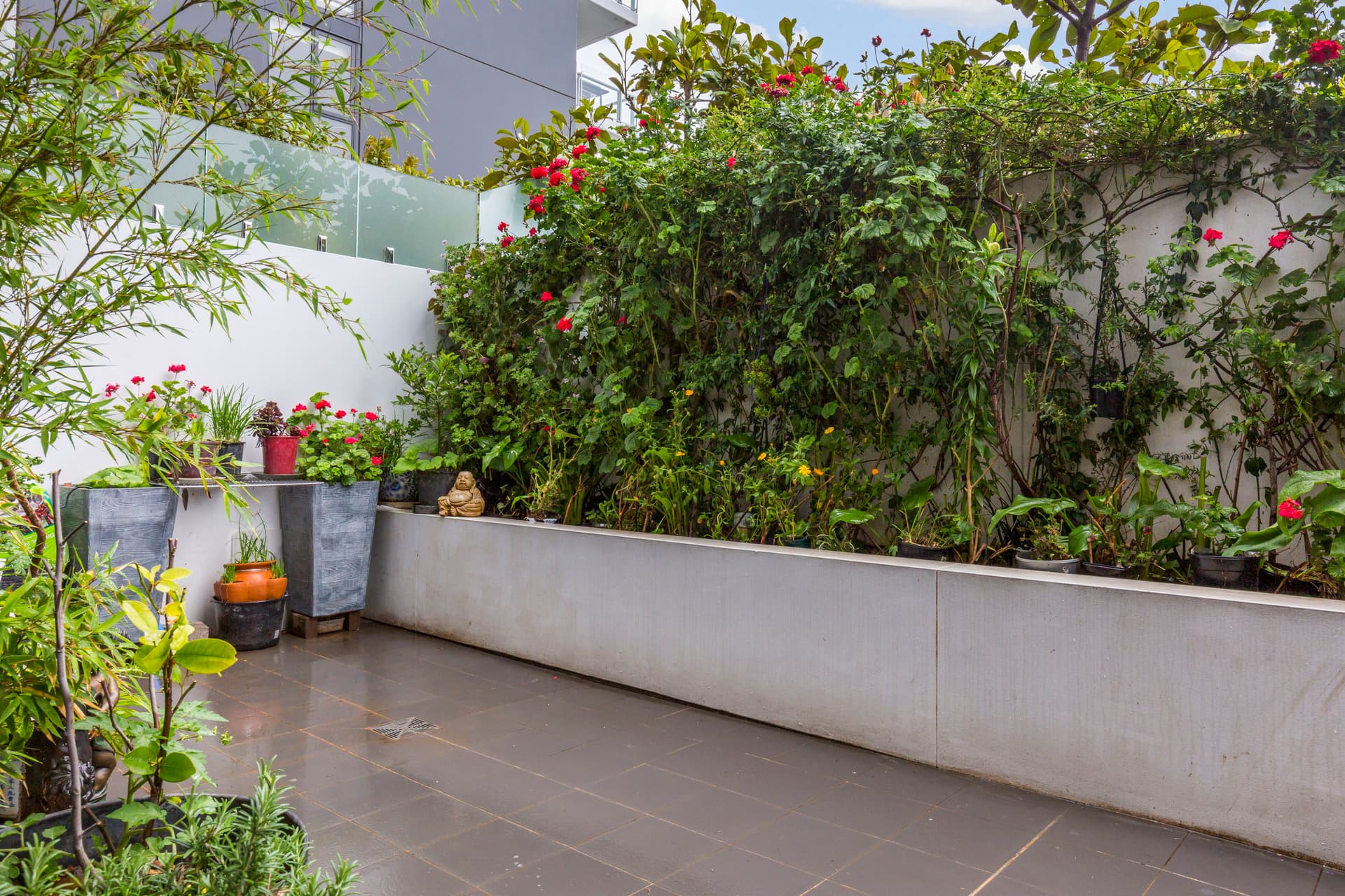 7/39 Benjamin Way, Belconnen ACT 2617, Belconnen - Image 1