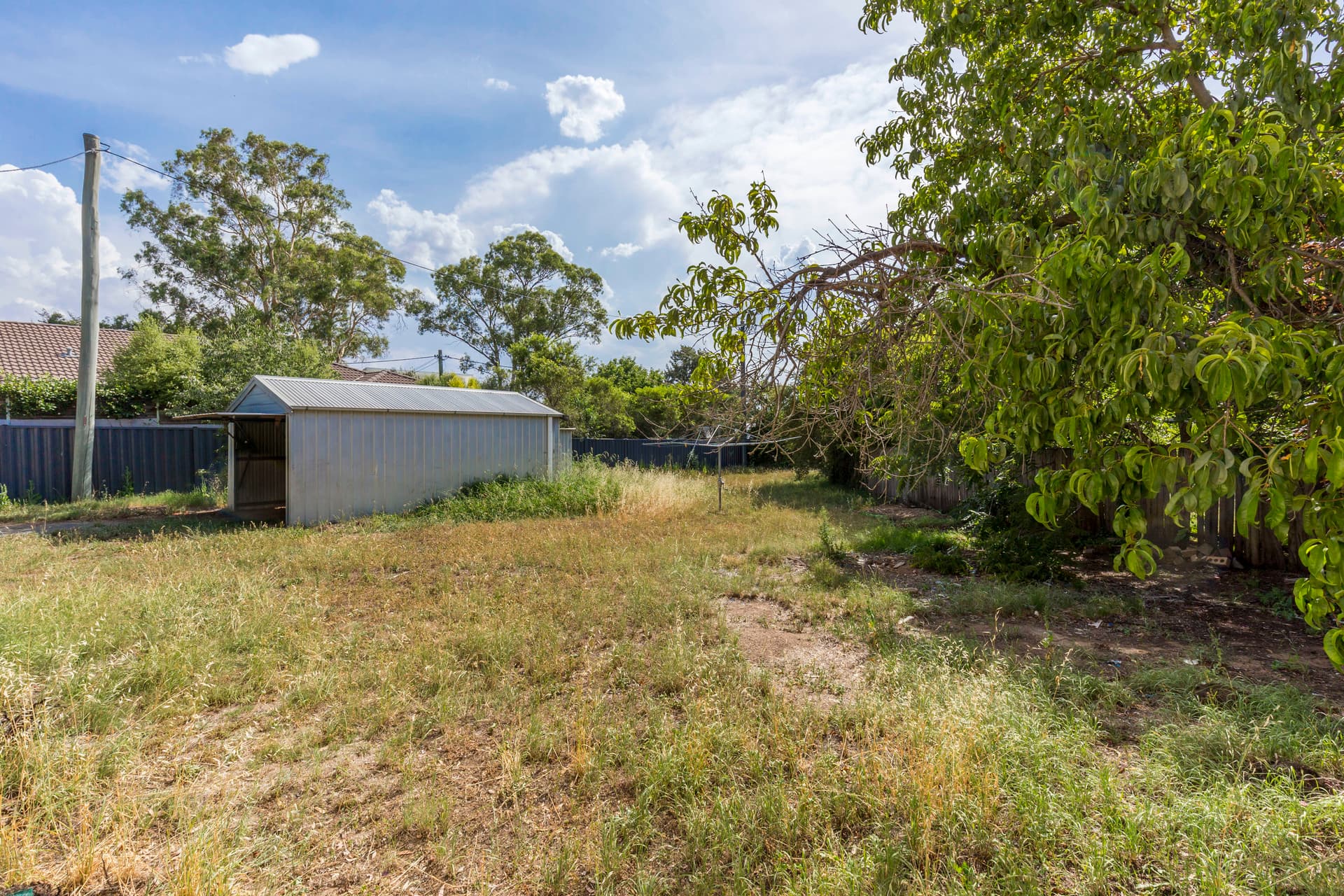 45 Ebden Street, Ainslie ACT 2602, Ainslie - Thumbnail 5