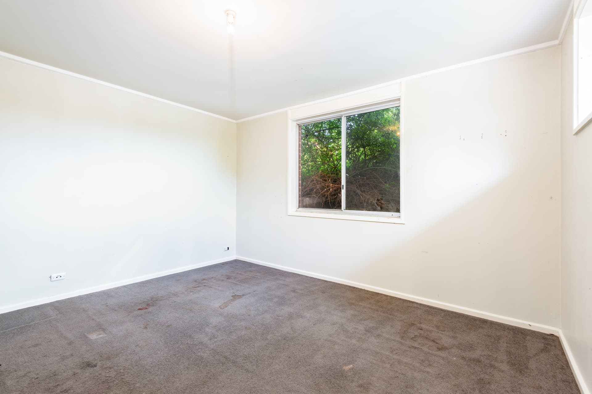 8 Wardell Place, Kambah ACT 2902, Kambah - Thumbnail 3