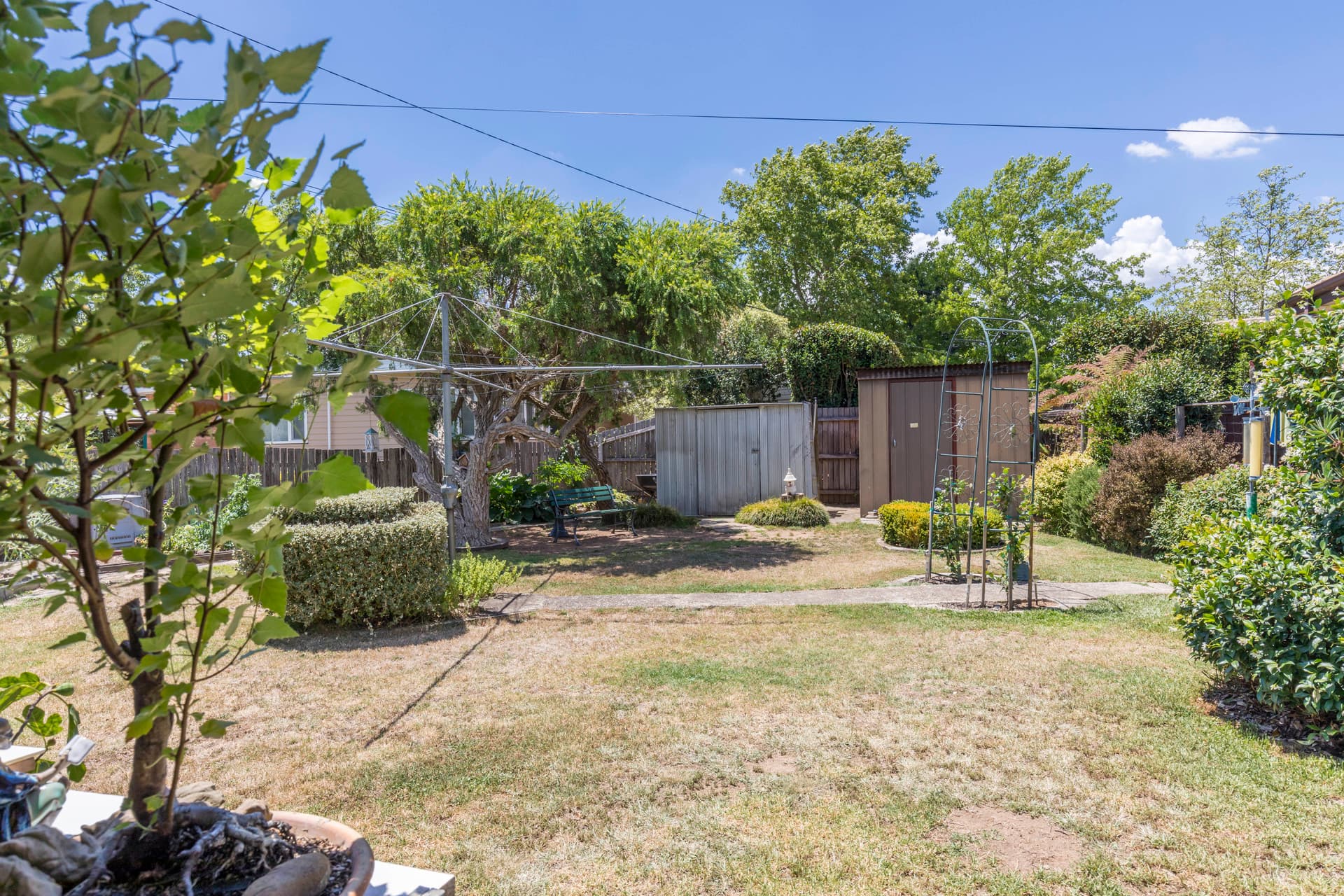 3 Selfe Street, Downer ACT 2602, Downer - Thumbnail 3