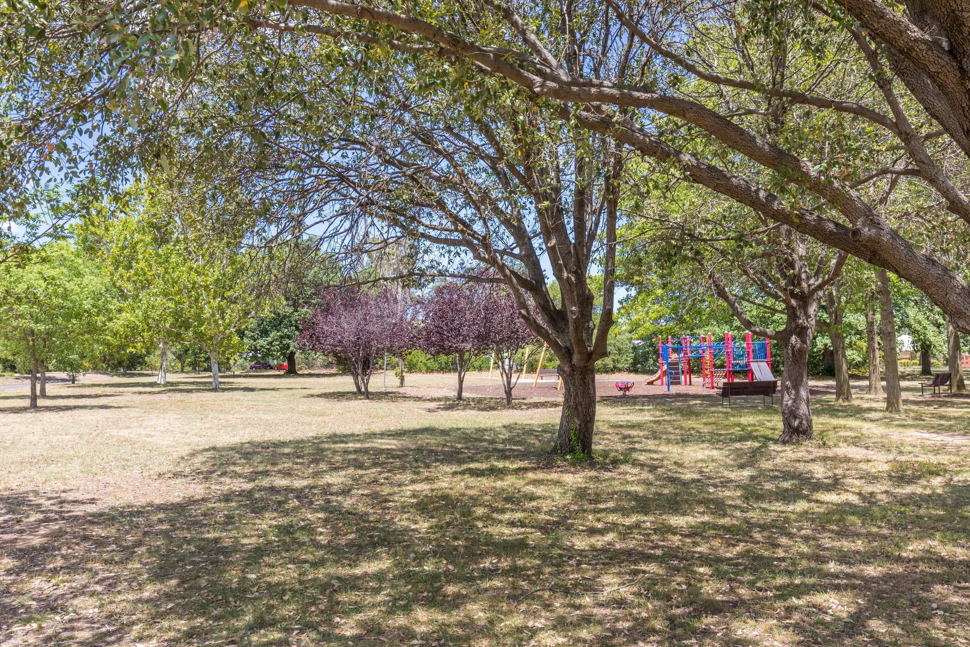 11 Shortland Crescent, Ainslie ACT 2602, Ainslie - Thumbnail 8