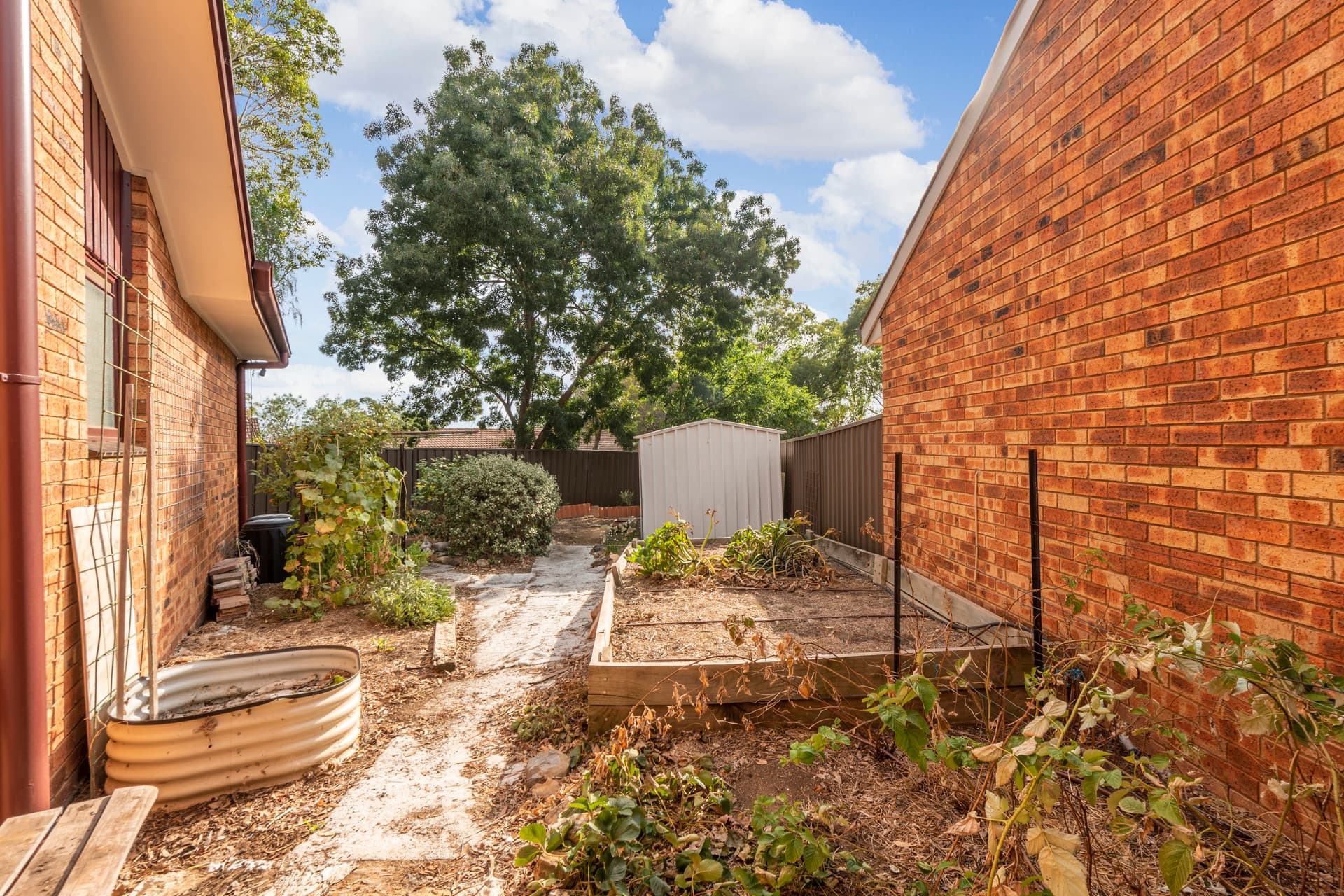 22 Kumm Place, Cook ACT 2614, Cook - Thumbnail 4